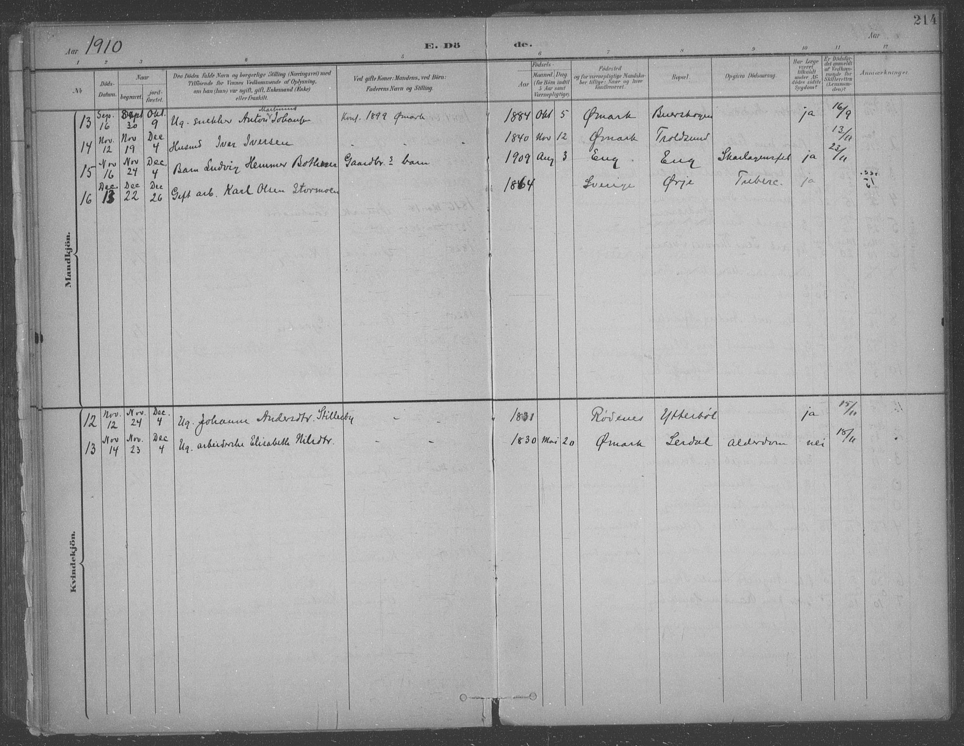 Aremark prestekontor Kirkebøker, SAO/A-10899/F/Fb/L0005: Parish register (official) no. II 5, 1895-1919, p. 214