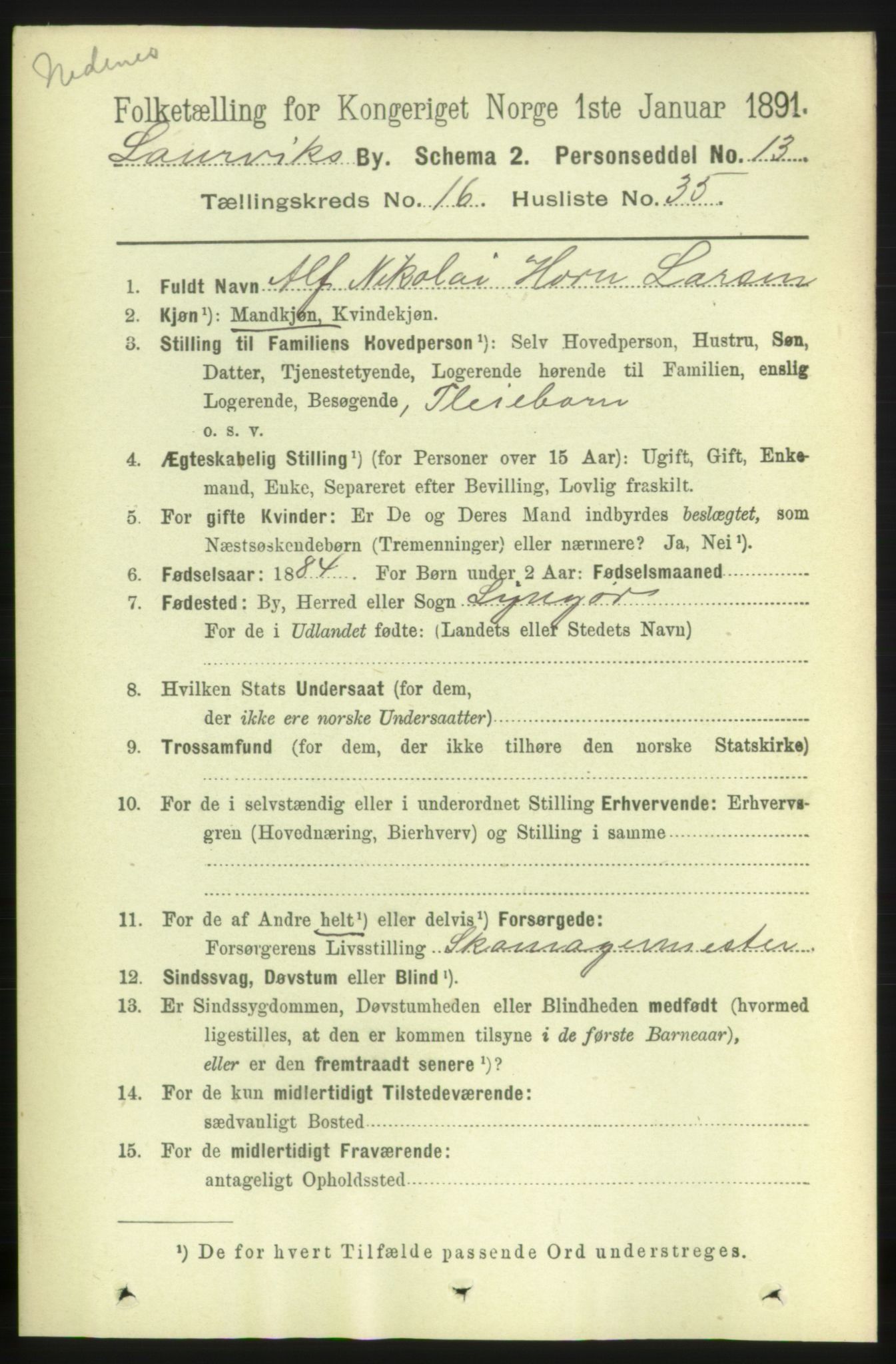 RA, 1891 census for 0707 Larvik, 1891, p. 11916