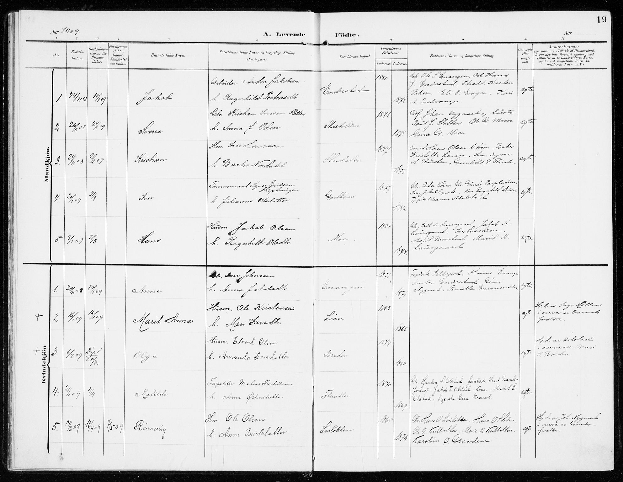 Sel prestekontor, AV/SAH-PREST-074/H/Ha/Haa/L0002: Parish register (official) no. 2, 1905-1919, p. 19