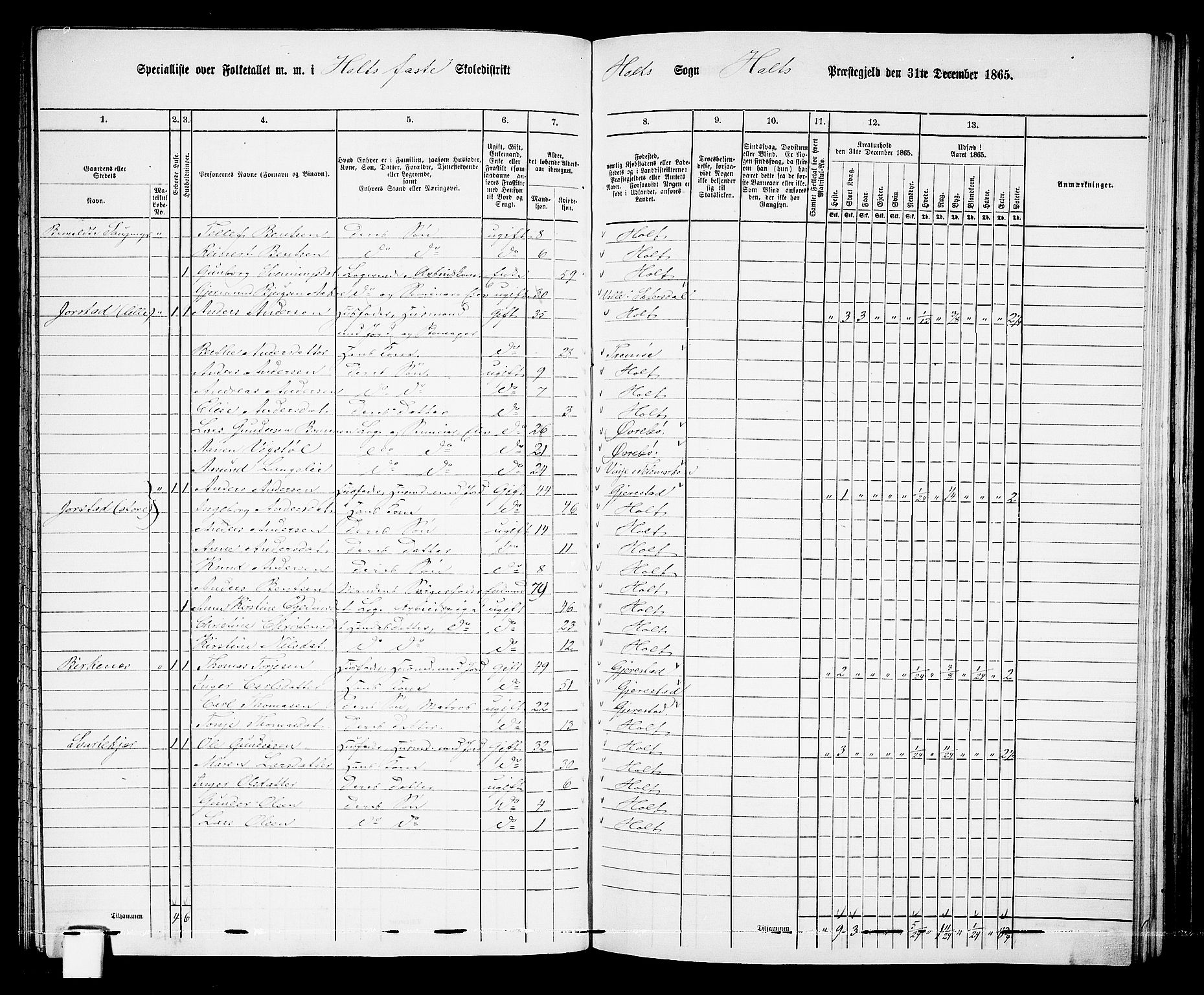 RA, 1865 census for Holt/Holt, 1865, p. 88