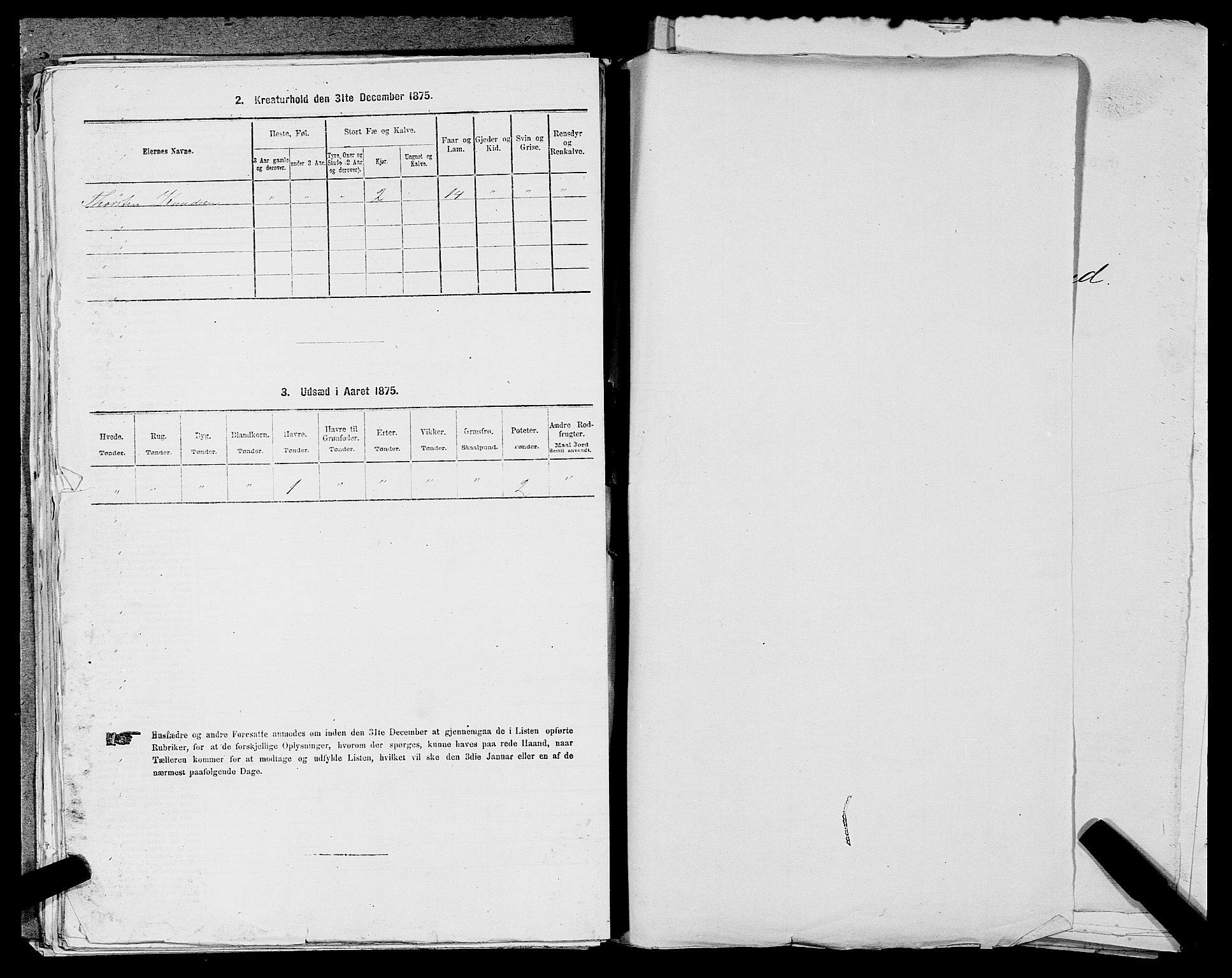 SAST, 1875 census for 1133P Hjelmeland, 1875, p. 197