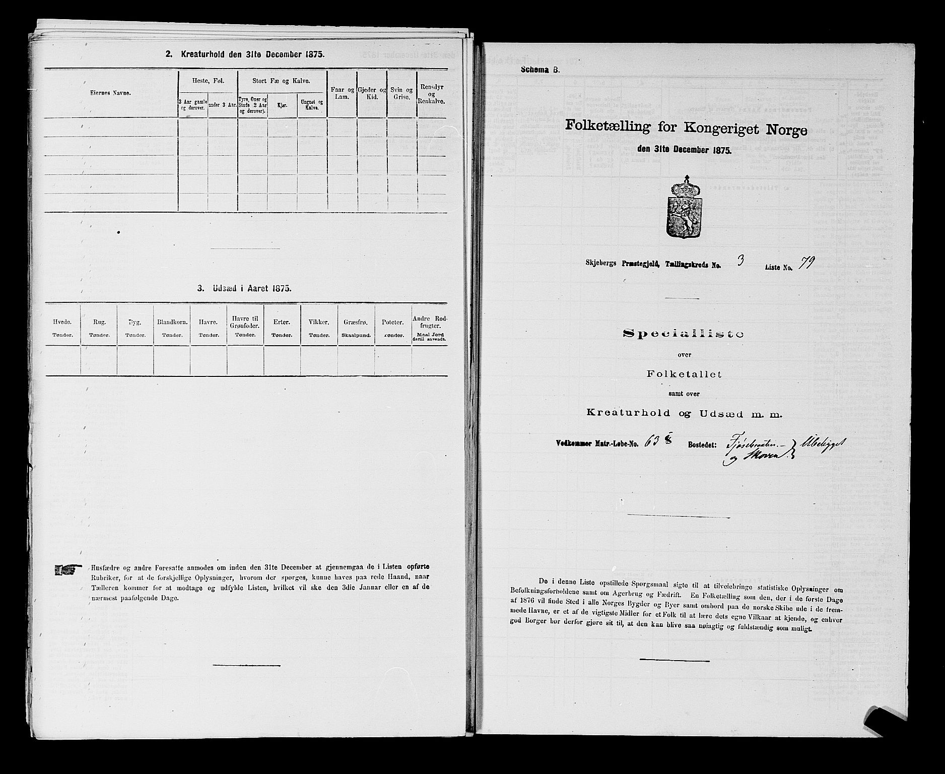 RA, 1875 census for 0115P Skjeberg, 1875, p. 707