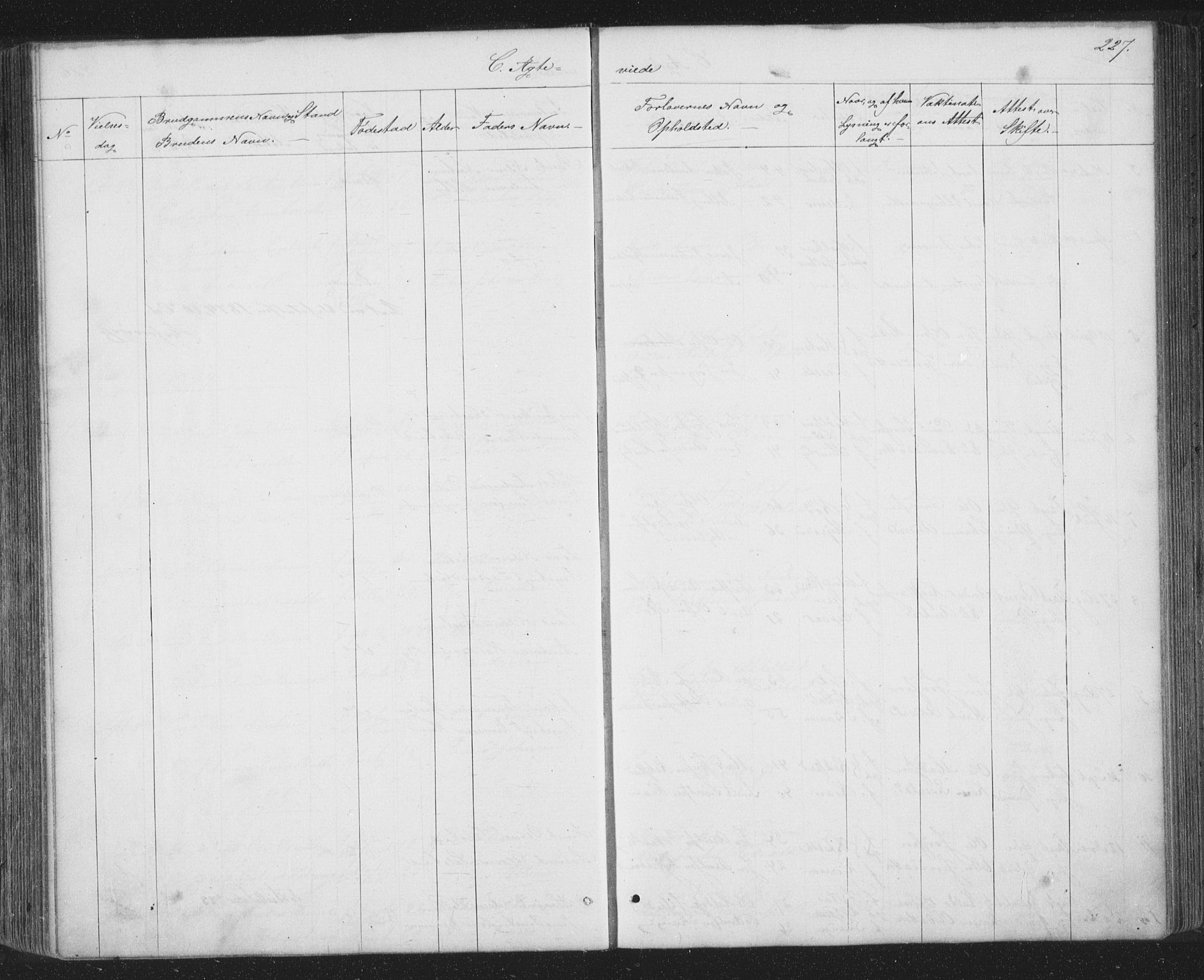 Ministerialprotokoller, klokkerbøker og fødselsregistre - Sør-Trøndelag, AV/SAT-A-1456/667/L0798: Parish register (copy) no. 667C03, 1867-1929, p. 227