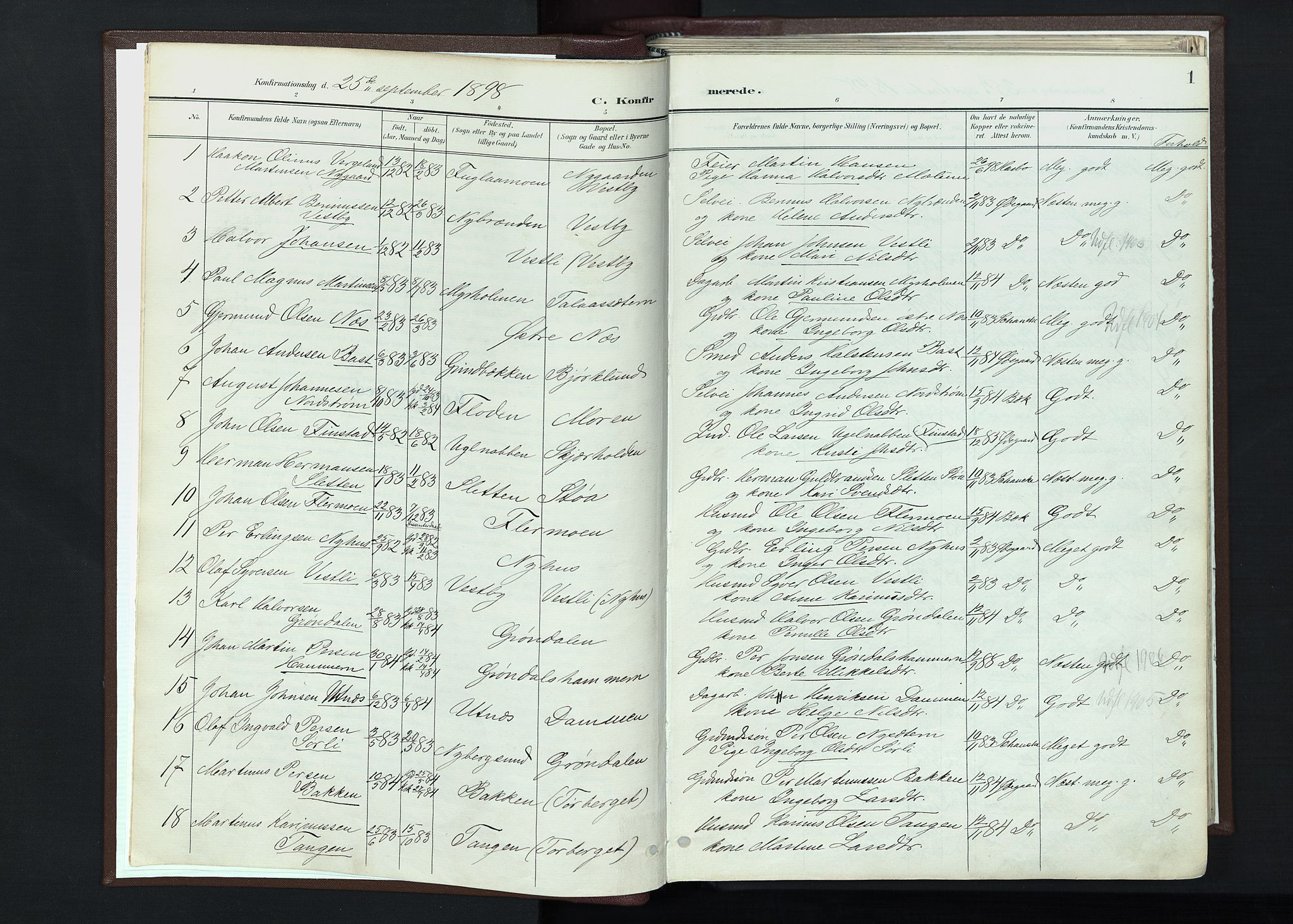 Trysil prestekontor, AV/SAH-PREST-046/H/Ha/Haa/L0013: Parish register (official) no. 13, 1898-1911, p. 1