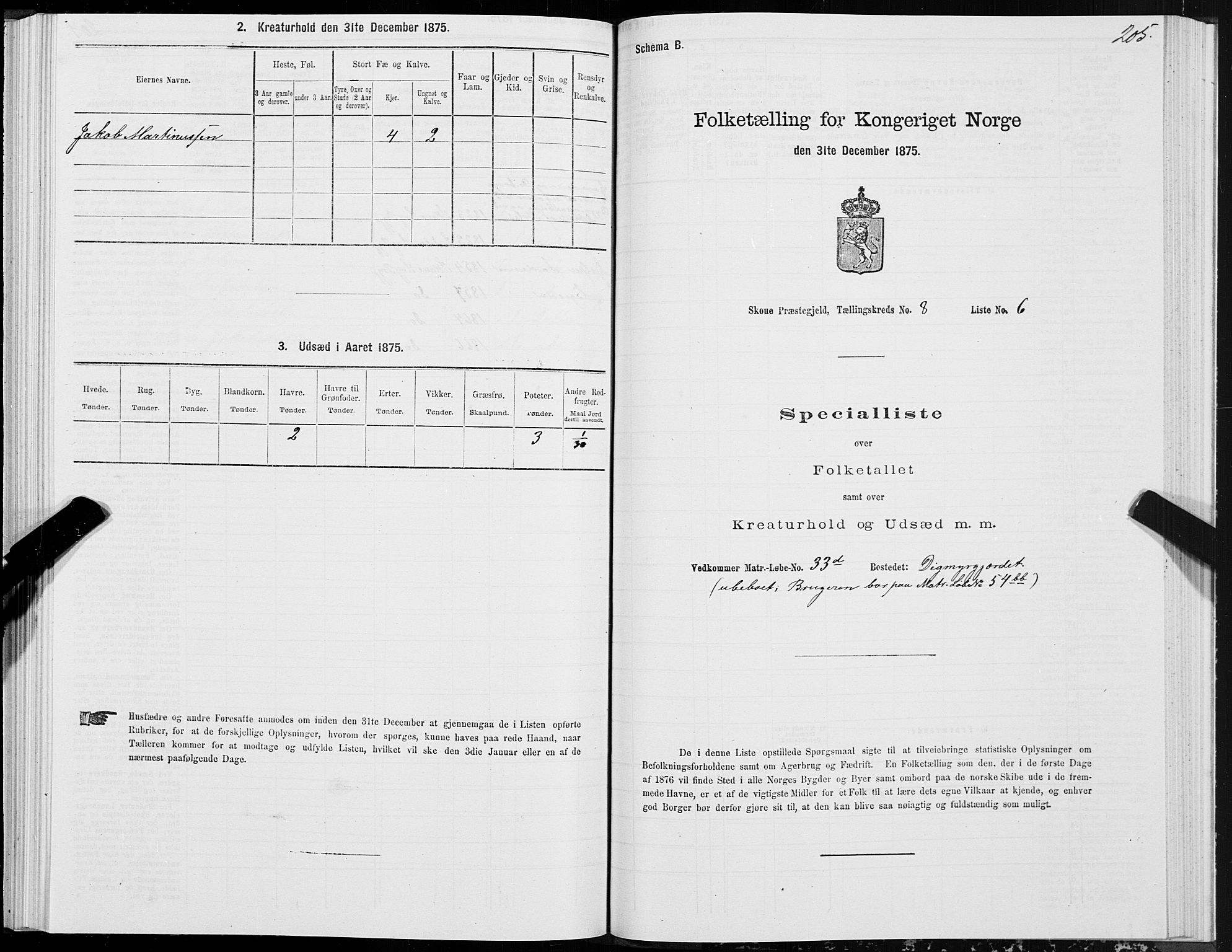 SAT, 1875 census for 1529P Skodje, 1875, p. 2205