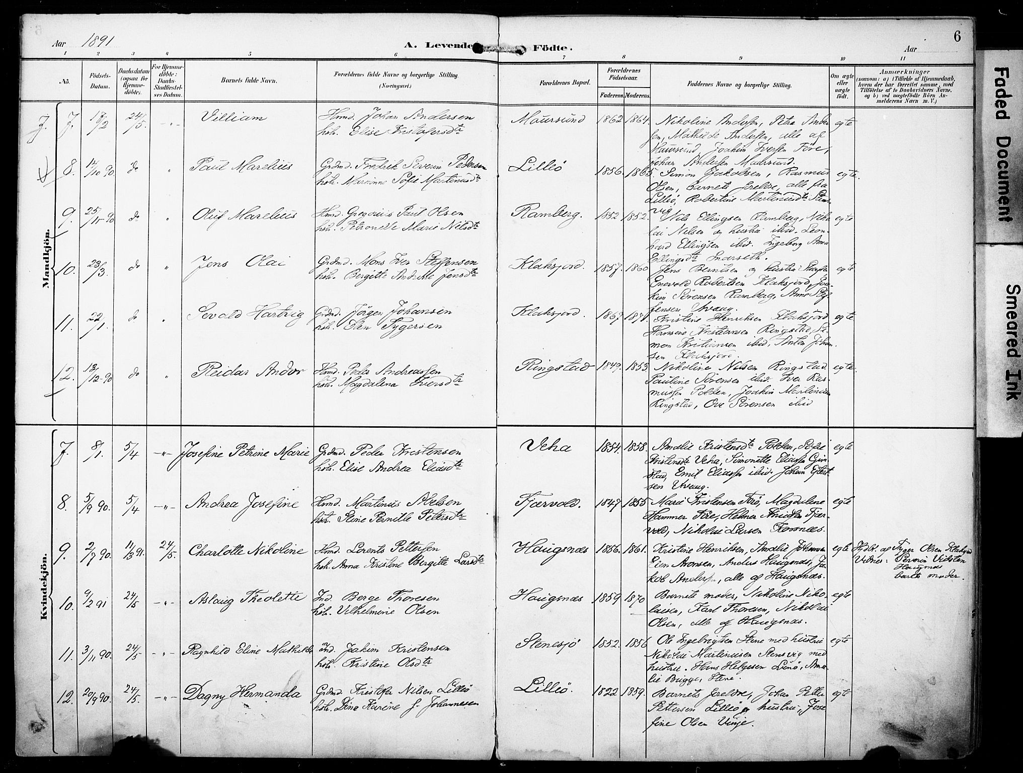 Ministerialprotokoller, klokkerbøker og fødselsregistre - Nordland, AV/SAT-A-1459/891/L1303: Parish register (official) no. 891A08, 1891-1894, p. 6