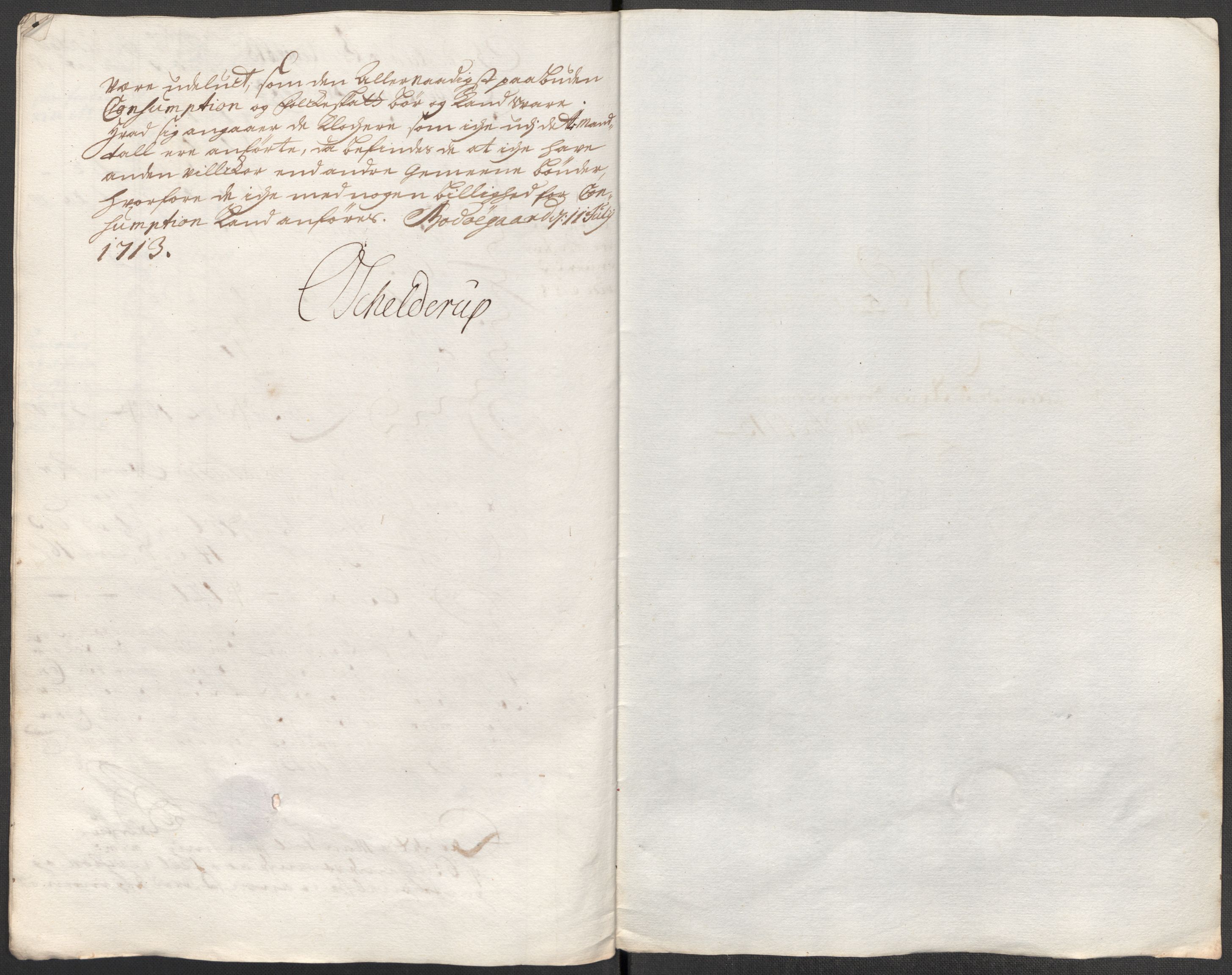 Rentekammeret inntil 1814, Reviderte regnskaper, Fogderegnskap, AV/RA-EA-4092/R66/L4583: Fogderegnskap Salten, 1713, p. 88