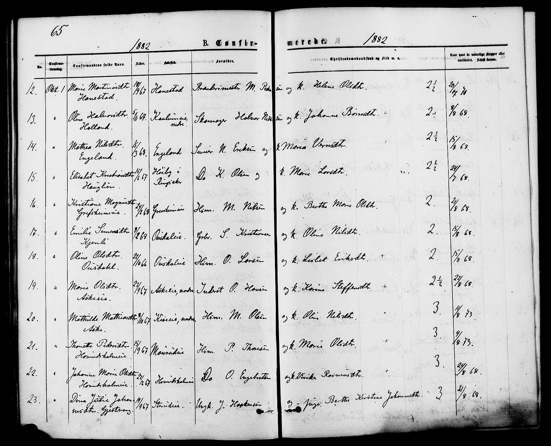 Nes prestekontor, Hedmark, AV/SAH-PREST-020/K/Ka/L0006: Parish register (official) no. 6, 1873-1886, p. 65