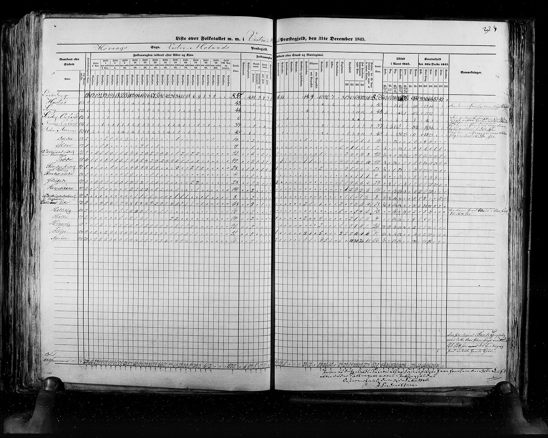 RA, Census 1845, vol. 5: Bratsberg amt og Nedenes og Råbyggelaget amt, 1845, p. 324