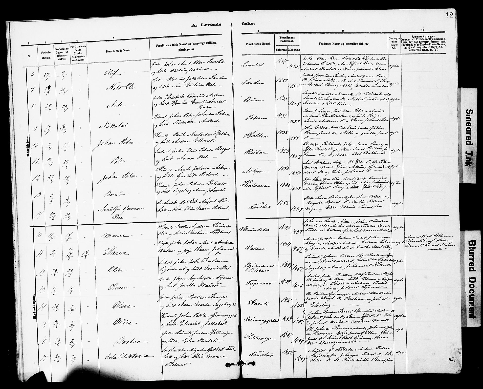 Ministerialprotokoller, klokkerbøker og fødselsregistre - Sør-Trøndelag, SAT/A-1456/646/L0628: Parish register (copy) no. 646C01, 1880-1903, p. 12
