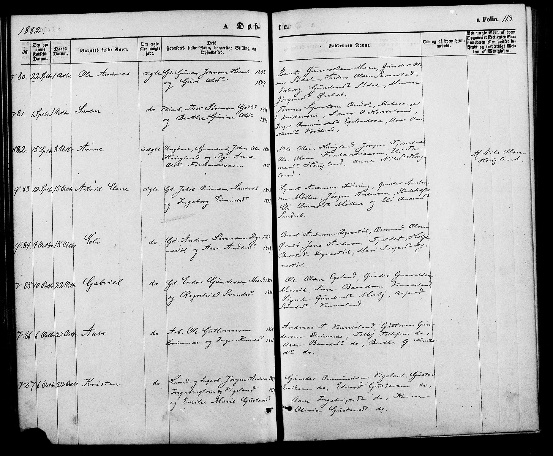 Vennesla sokneprestkontor, SAK/1111-0045/Fa/Fac/L0008: Parish register (official) no. A 8, 1874-1883, p. 113