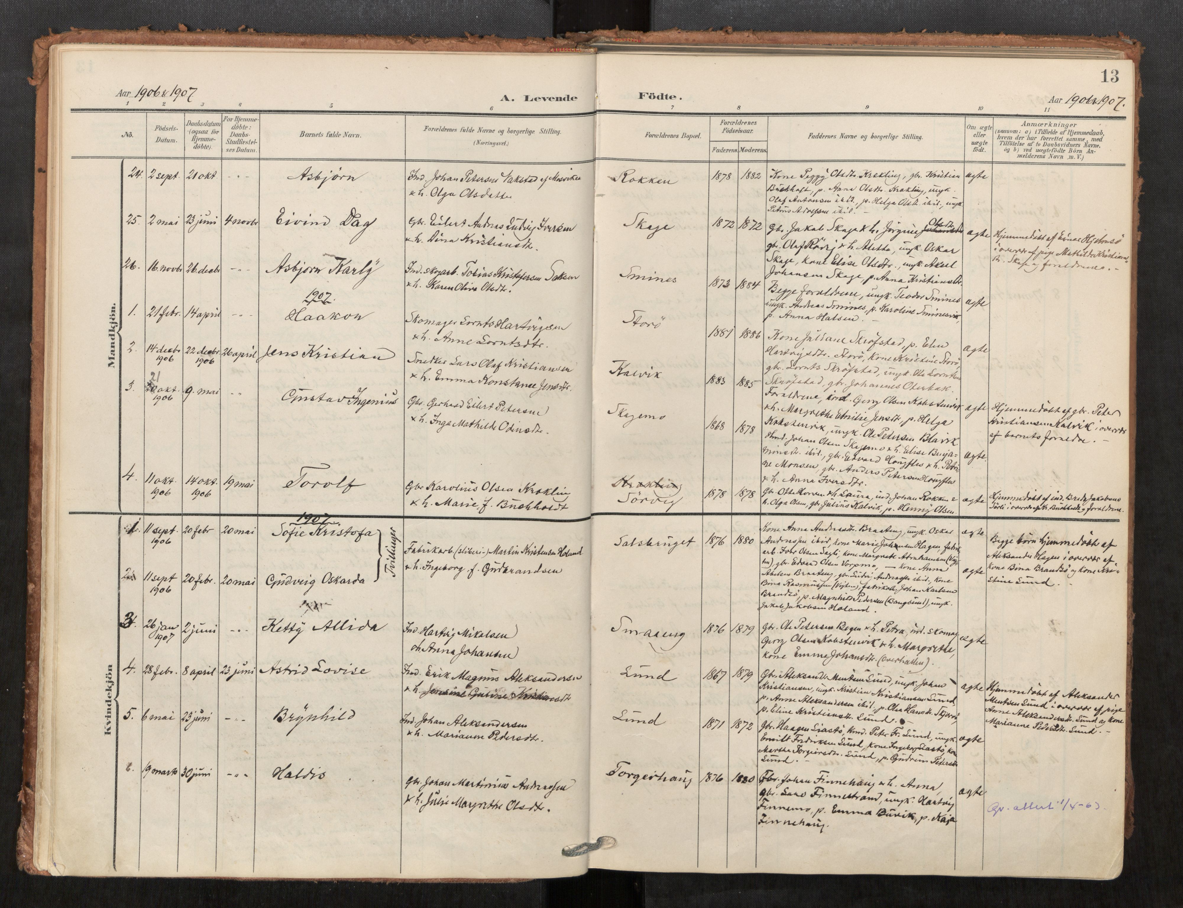 Kolvereid sokneprestkontor, SAT/A-1171/H/Ha/Haa/L0001: Parish register (official) no. 1, 1903-1922, p. 13