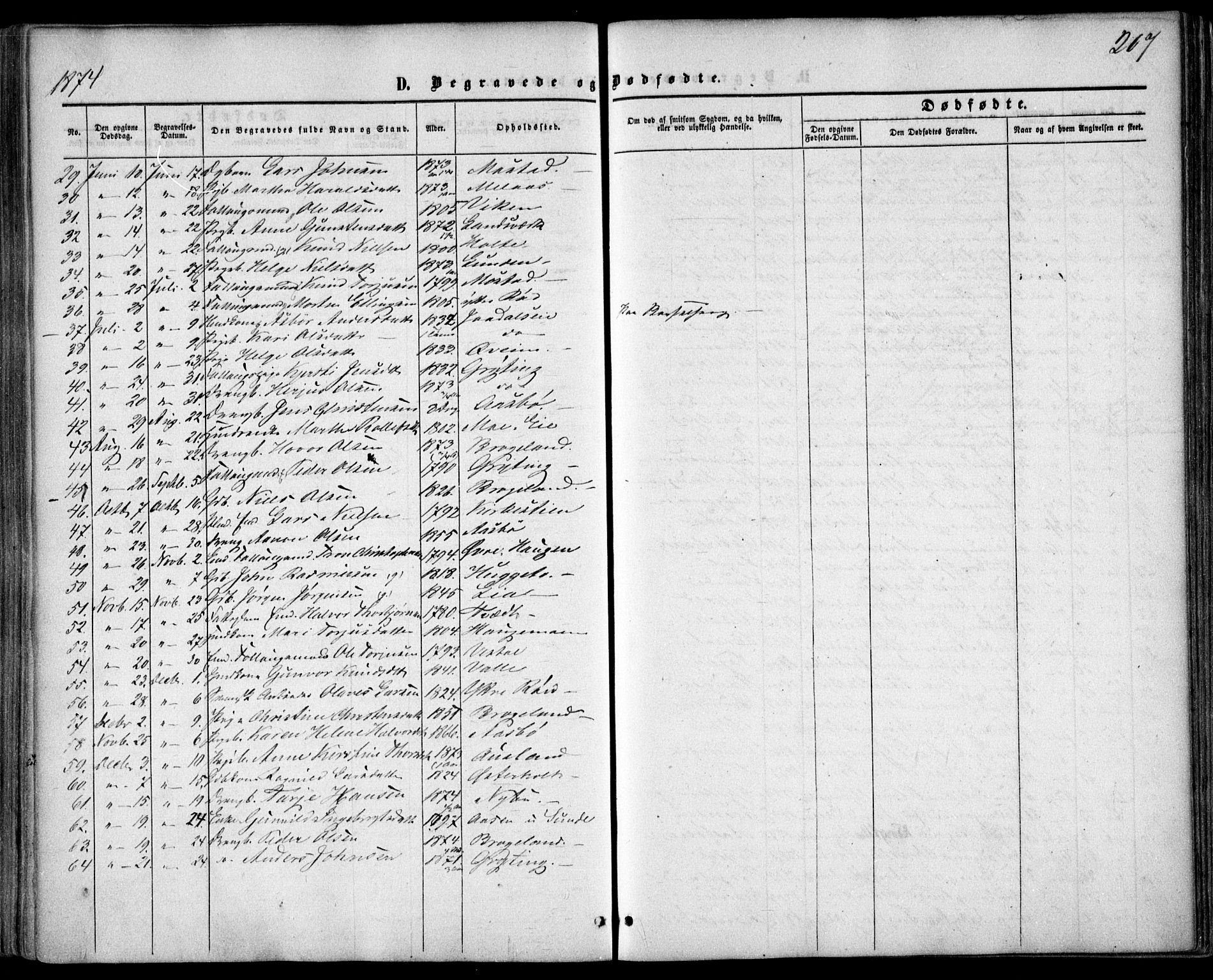 Gjerstad sokneprestkontor, AV/SAK-1111-0014/F/Fa/Faa/L0007: Parish register (official) no. A 7, 1858-1875, p. 207