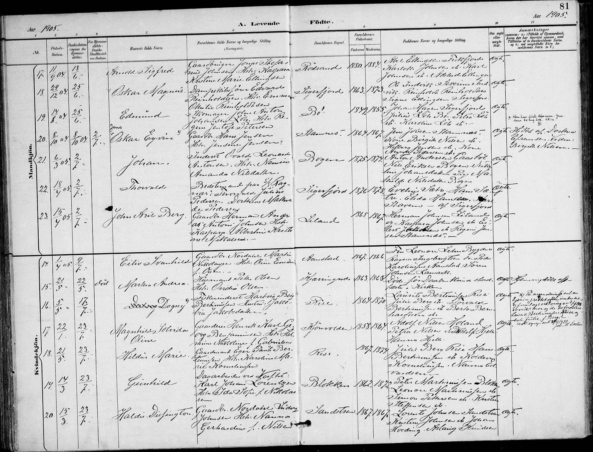 Ministerialprotokoller, klokkerbøker og fødselsregistre - Nordland, AV/SAT-A-1459/895/L1372: Parish register (official) no. 895A07, 1894-1914, p. 81