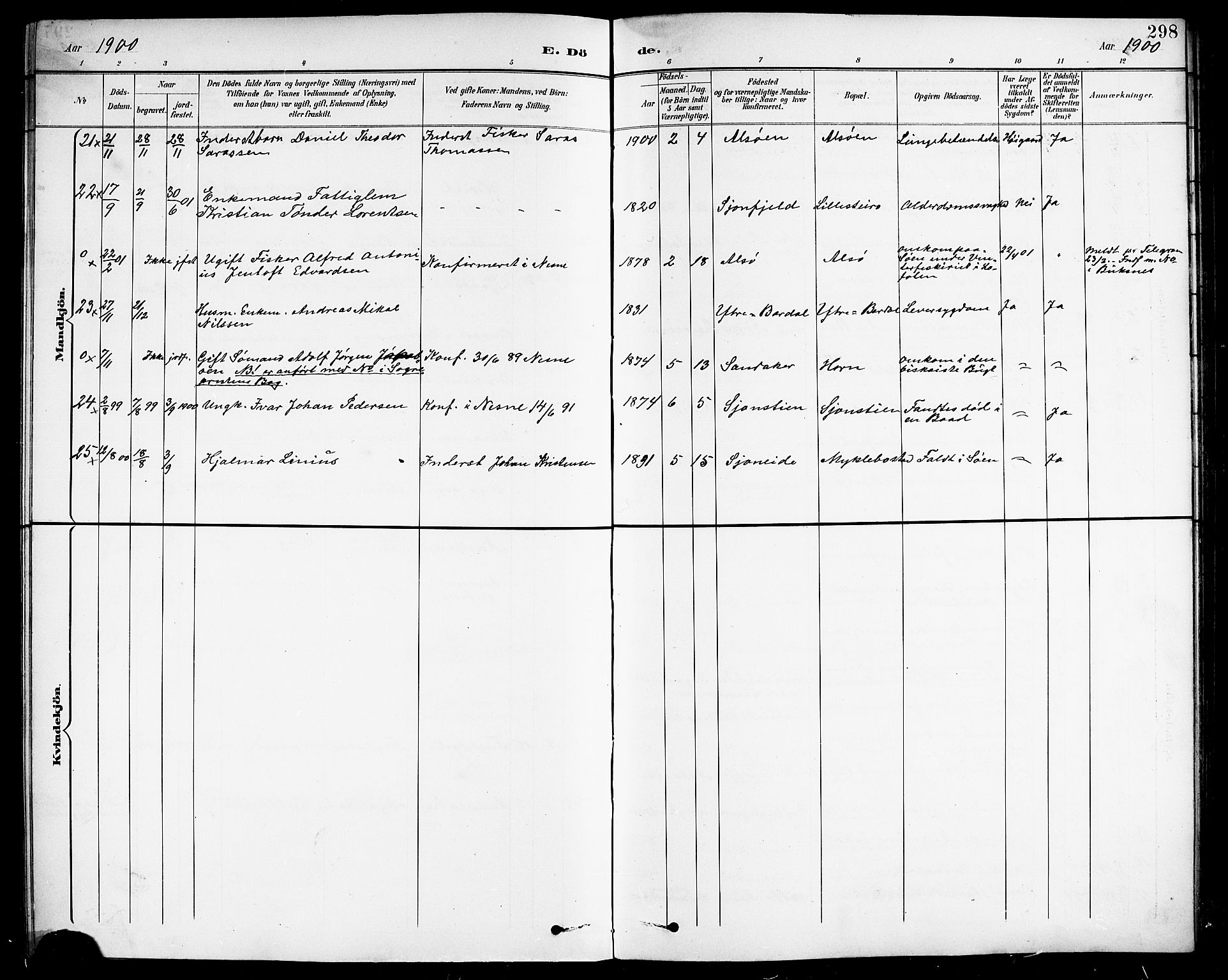 Ministerialprotokoller, klokkerbøker og fødselsregistre - Nordland, SAT/A-1459/838/L0559: Parish register (copy) no. 838C06, 1893-1910, p. 298