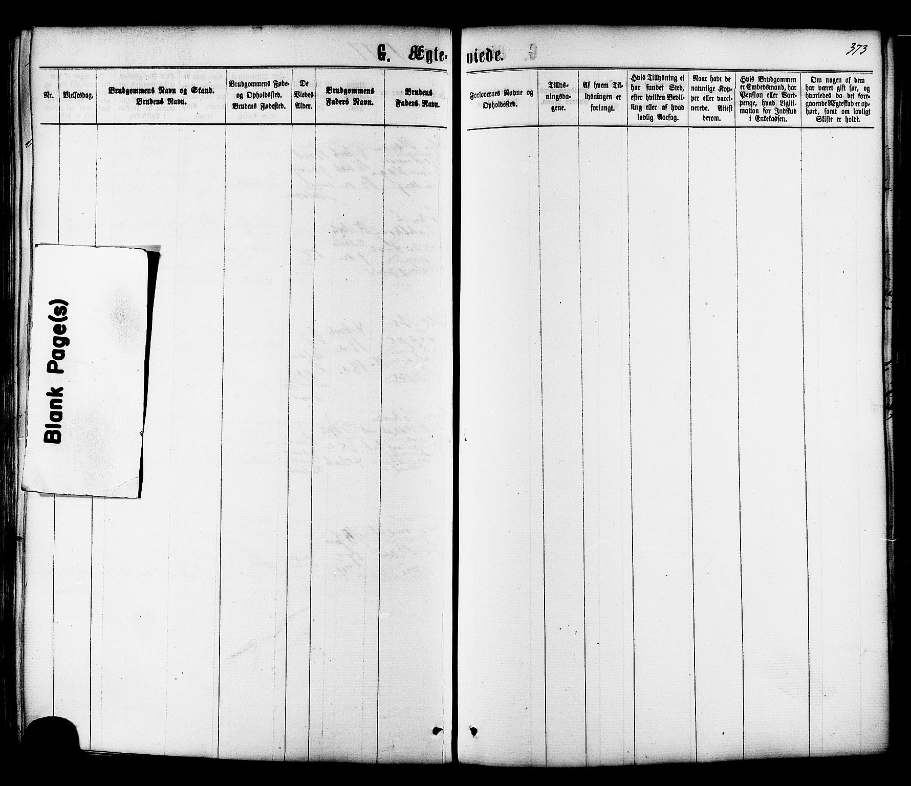 Ministerialprotokoller, klokkerbøker og fødselsregistre - Sør-Trøndelag, SAT/A-1456/606/L0293: Parish register (official) no. 606A08, 1866-1877, p. 373
