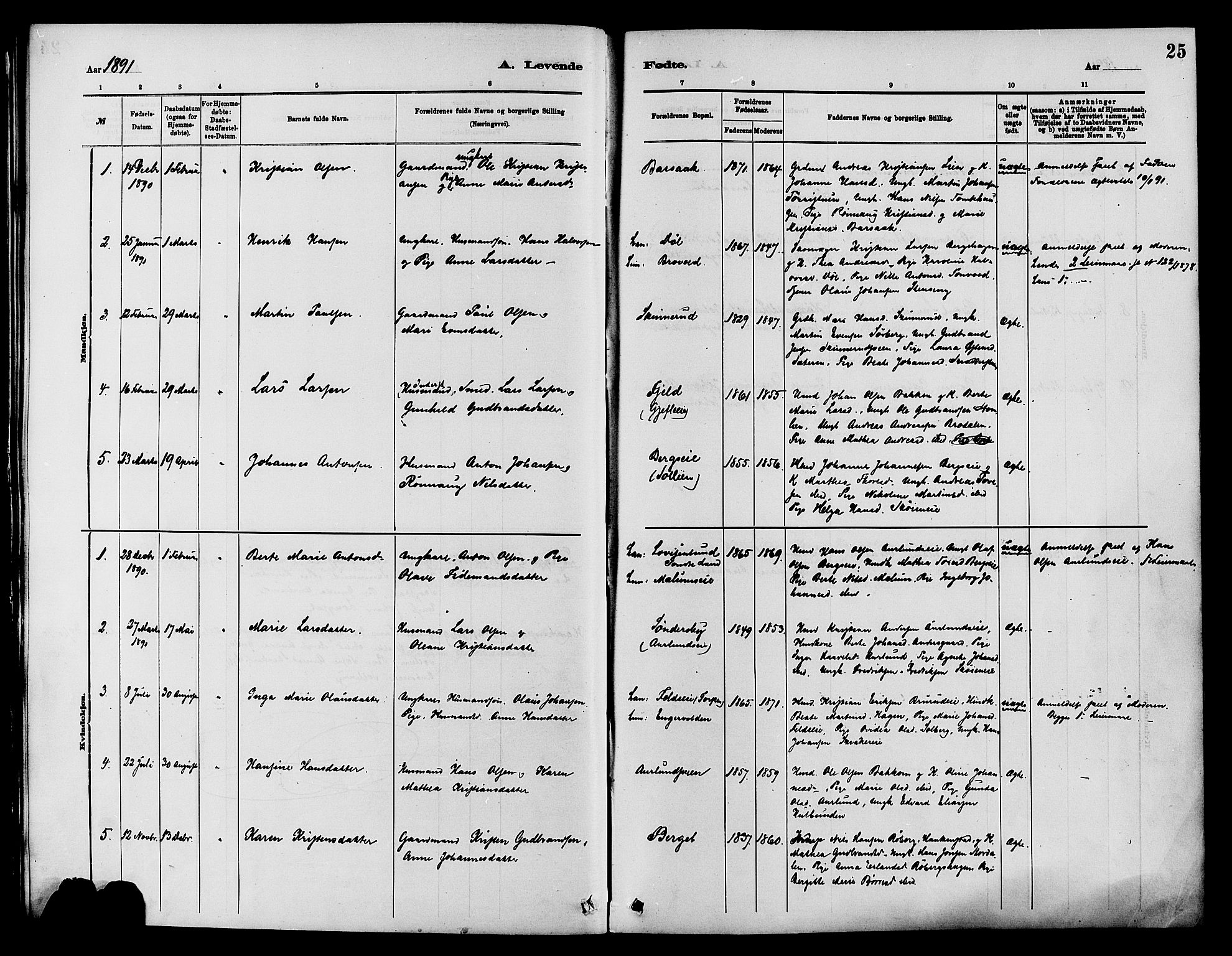 Nordre Land prestekontor, SAH/PREST-124/H/Ha/Haa/L0003: Parish register (official) no. 3, 1882-1896, p. 25