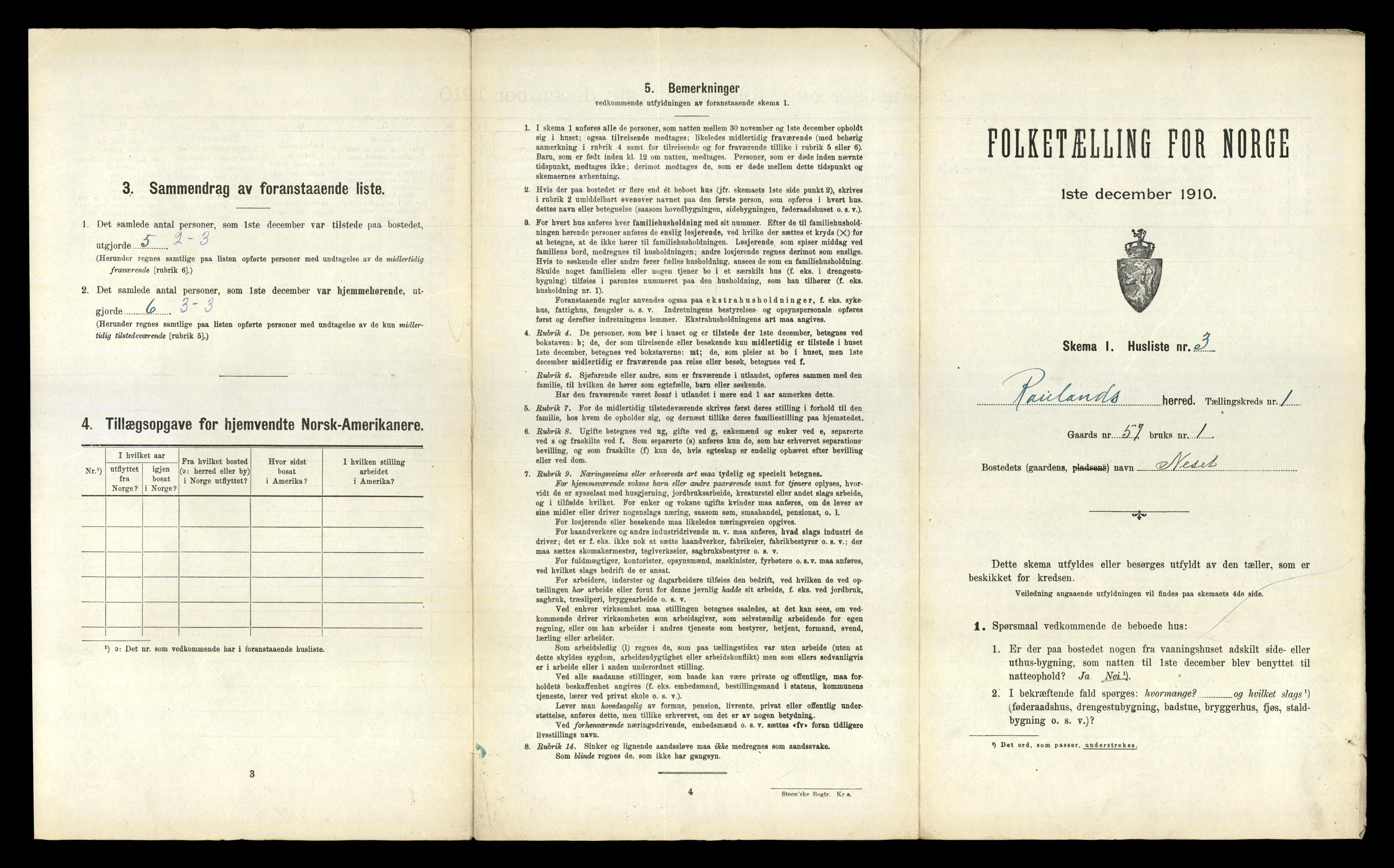 RA, 1910 census for Rauland, 1910, p. 45