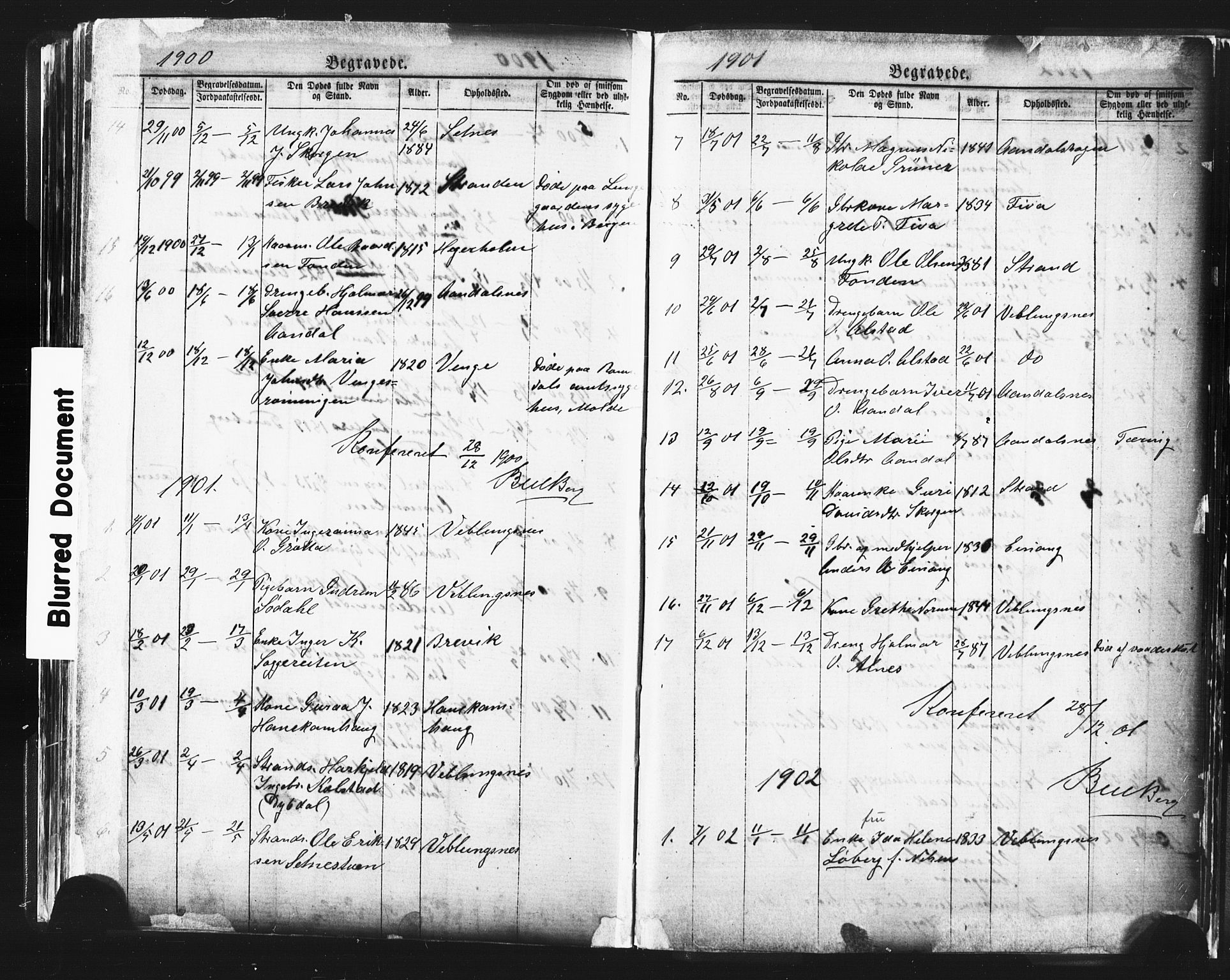 Ministerialprotokoller, klokkerbøker og fødselsregistre - Møre og Romsdal, AV/SAT-A-1454/544/L0580: Parish register (copy) no. 544C02, 1867-1909, p. 263