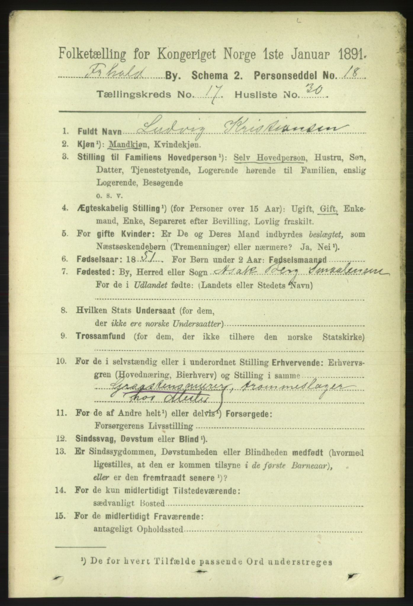 RA, 1891 census for 0101 Fredrikshald, 1891, p. 11362