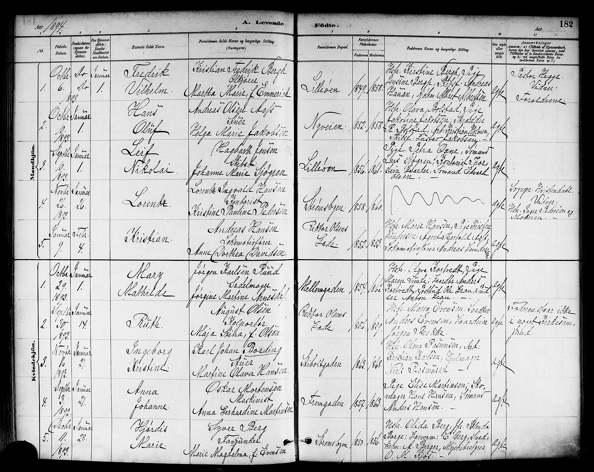 Strømsø kirkebøker, SAKO/A-246/F/Fa/L0023: Parish register (official) no. I 23, 1885-1894, p. 182