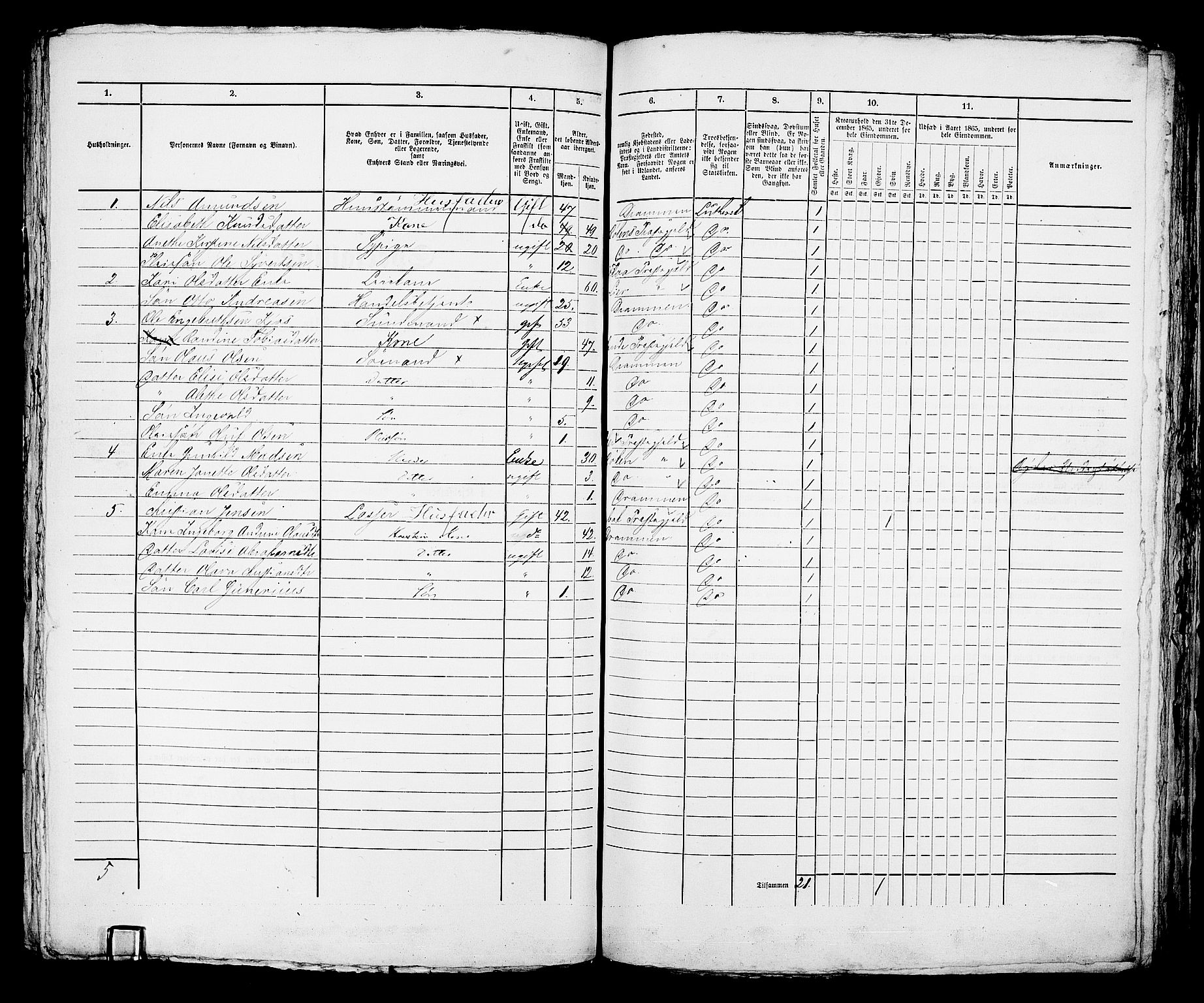 RA, 1865 census for Bragernes in Drammen, 1865, p. 1004