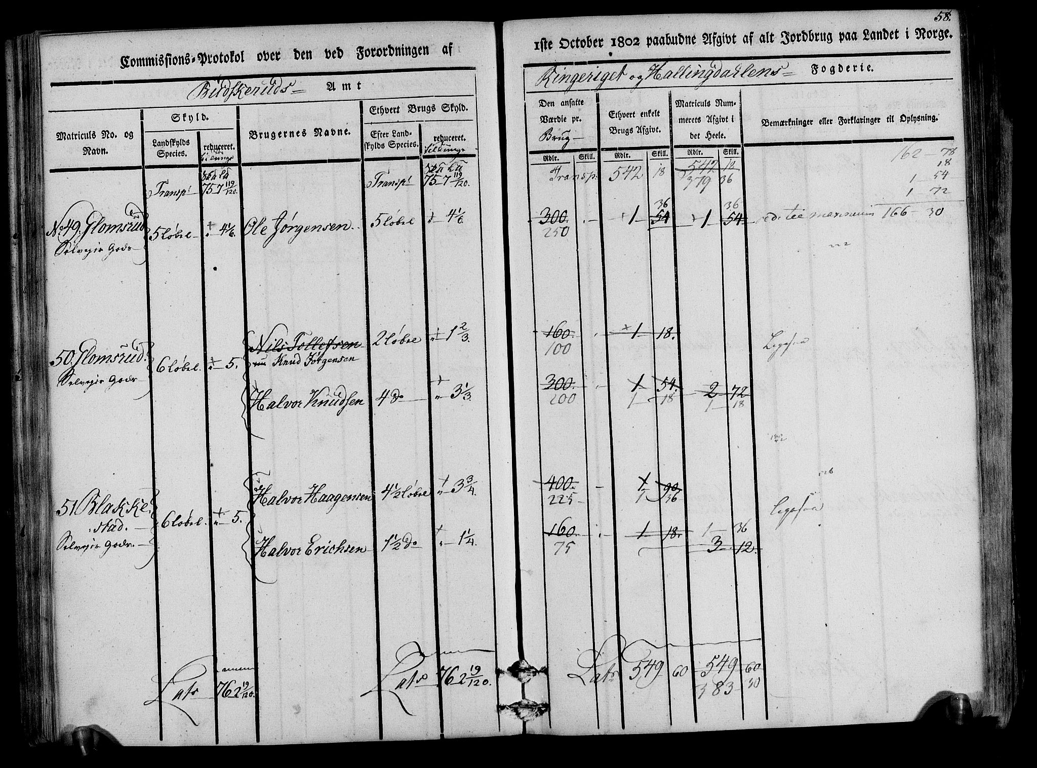 Rentekammeret inntil 1814, Realistisk ordnet avdeling, AV/RA-EA-4070/N/Ne/Nea/L0047: Ringerike og Hallingdal fogderi. Kommisjonsprotokoll for Nes prestegjeld, 1803, p. 60