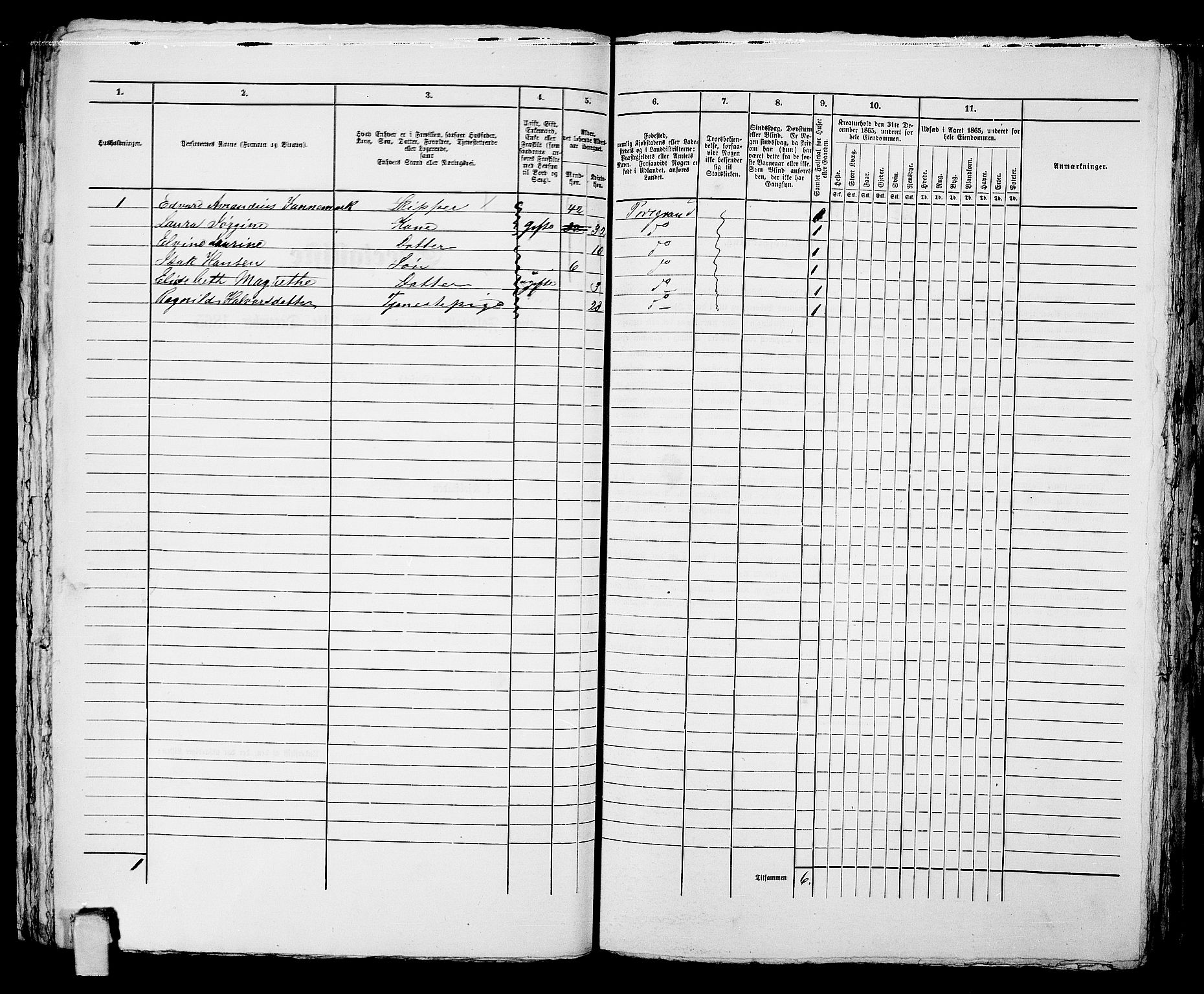 RA, 1865 census for Porsgrunn, 1865, p. 619