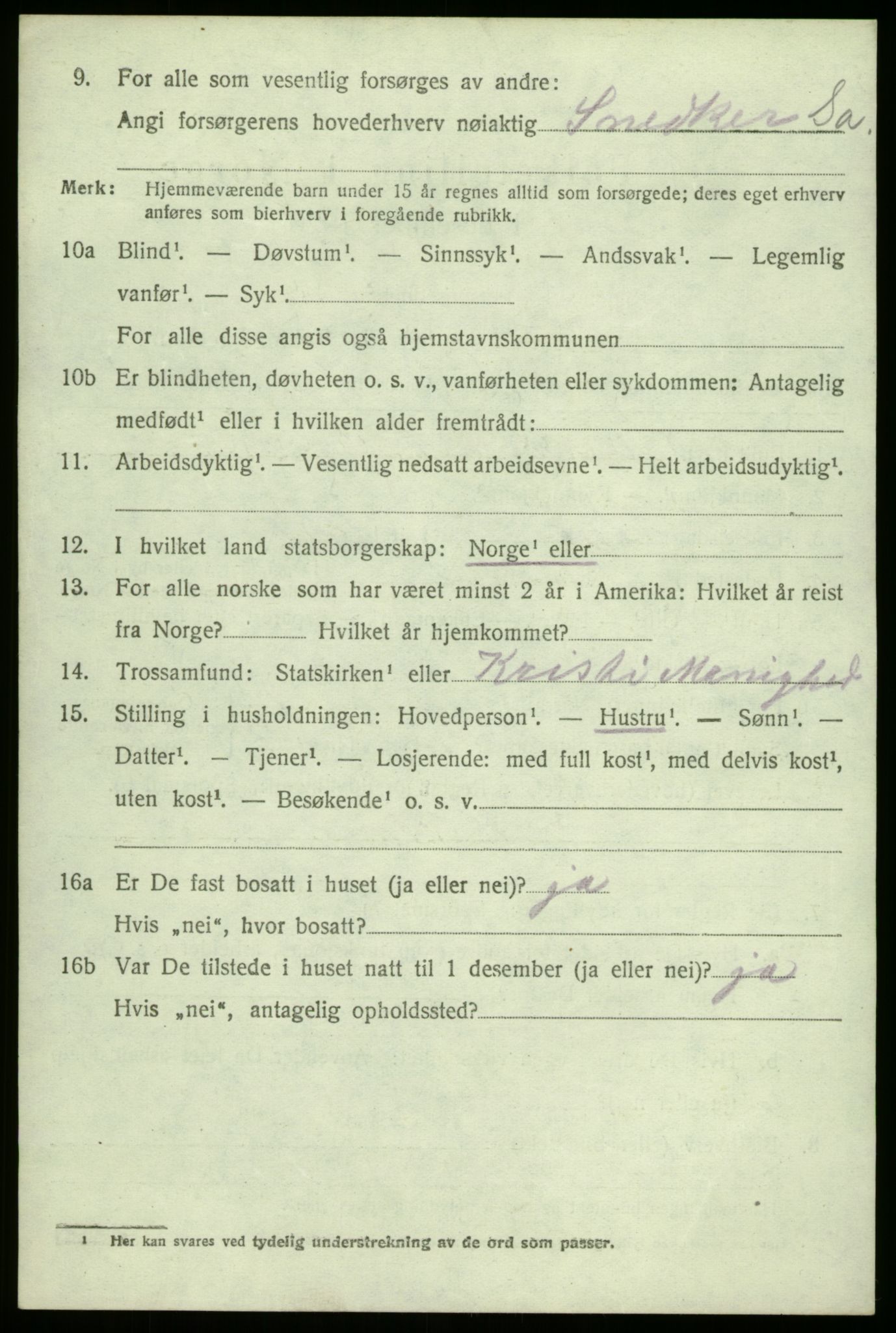 SAO, 1920 census for Borge, 1920, p. 3008