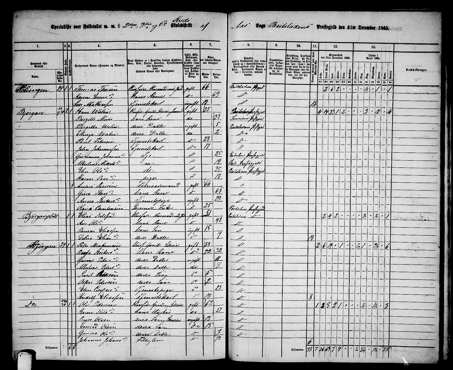 RA, 1865 census for Beitstad, 1865, p. 188