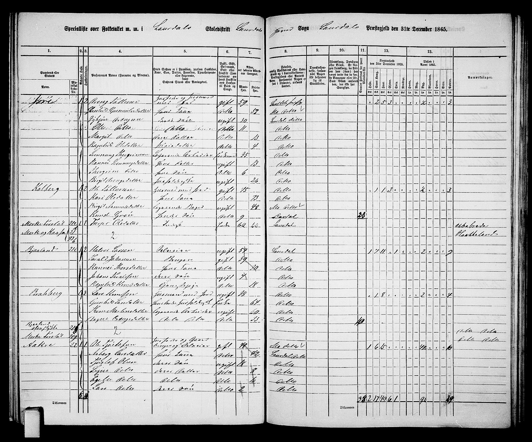 RA, 1865 census for Lårdal, 1865, p. 21