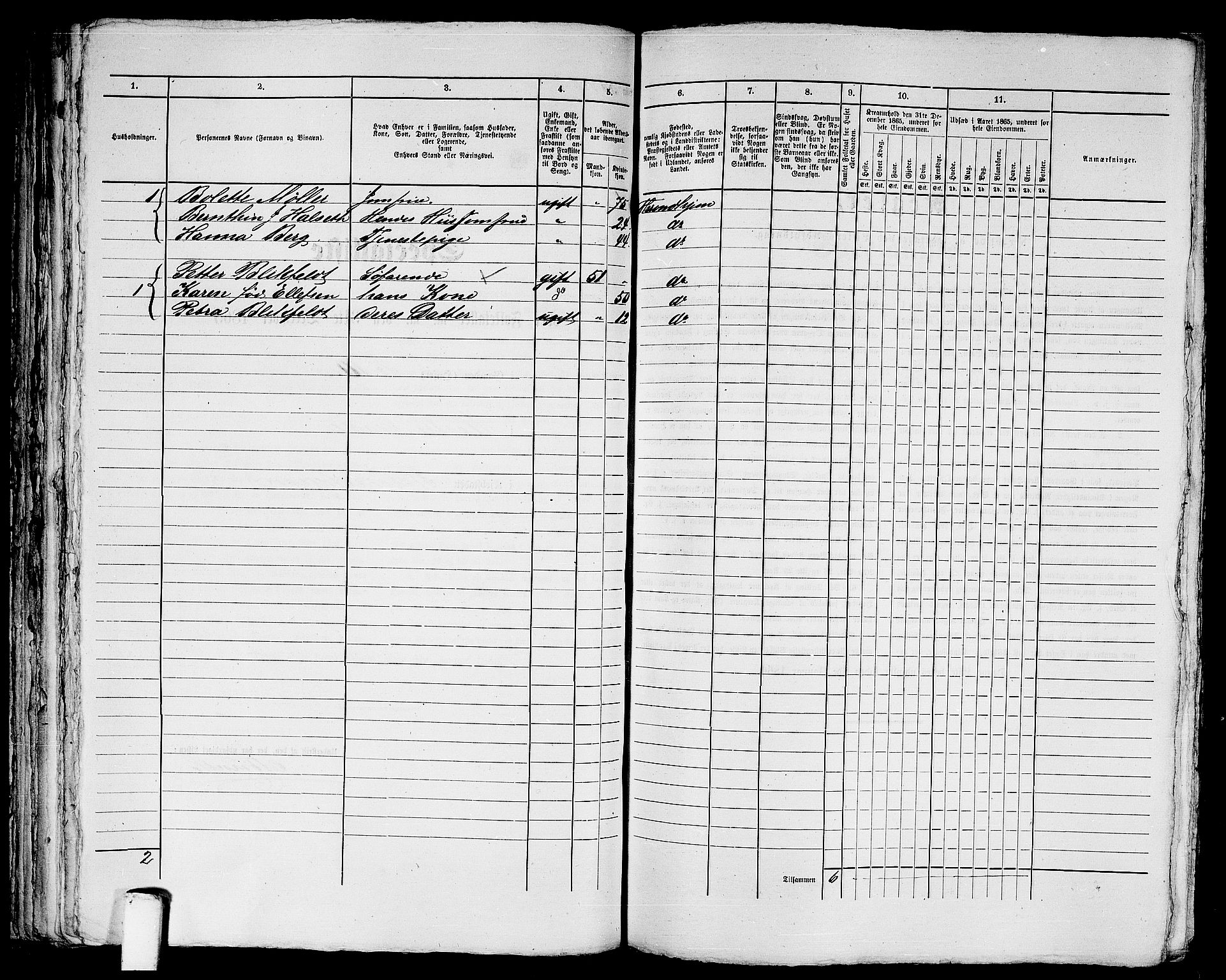 RA, 1865 census for Trondheim, 1865, p. 1663