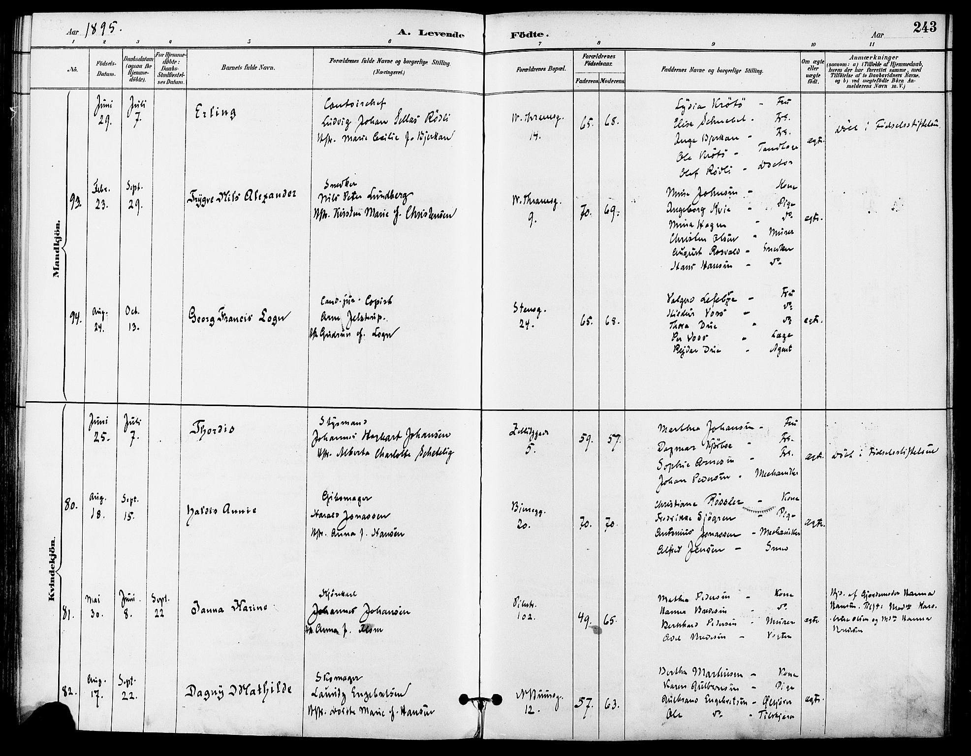Gamle Aker prestekontor Kirkebøker, AV/SAO-A-10617a/F/L0008: Parish register (official) no. 8, 1887-1896, p. 243