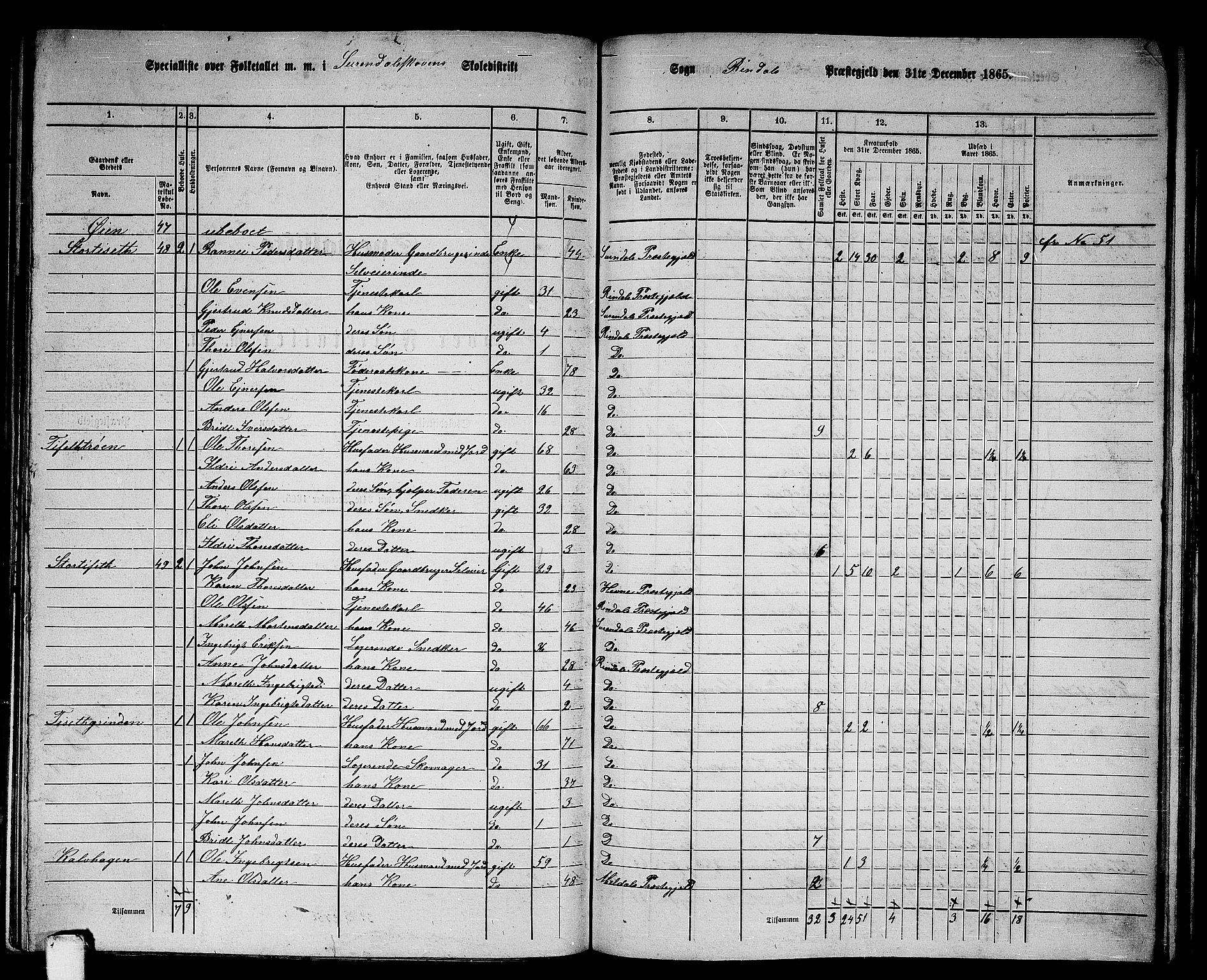 RA, 1865 census for Rindal, 1865, p. 25