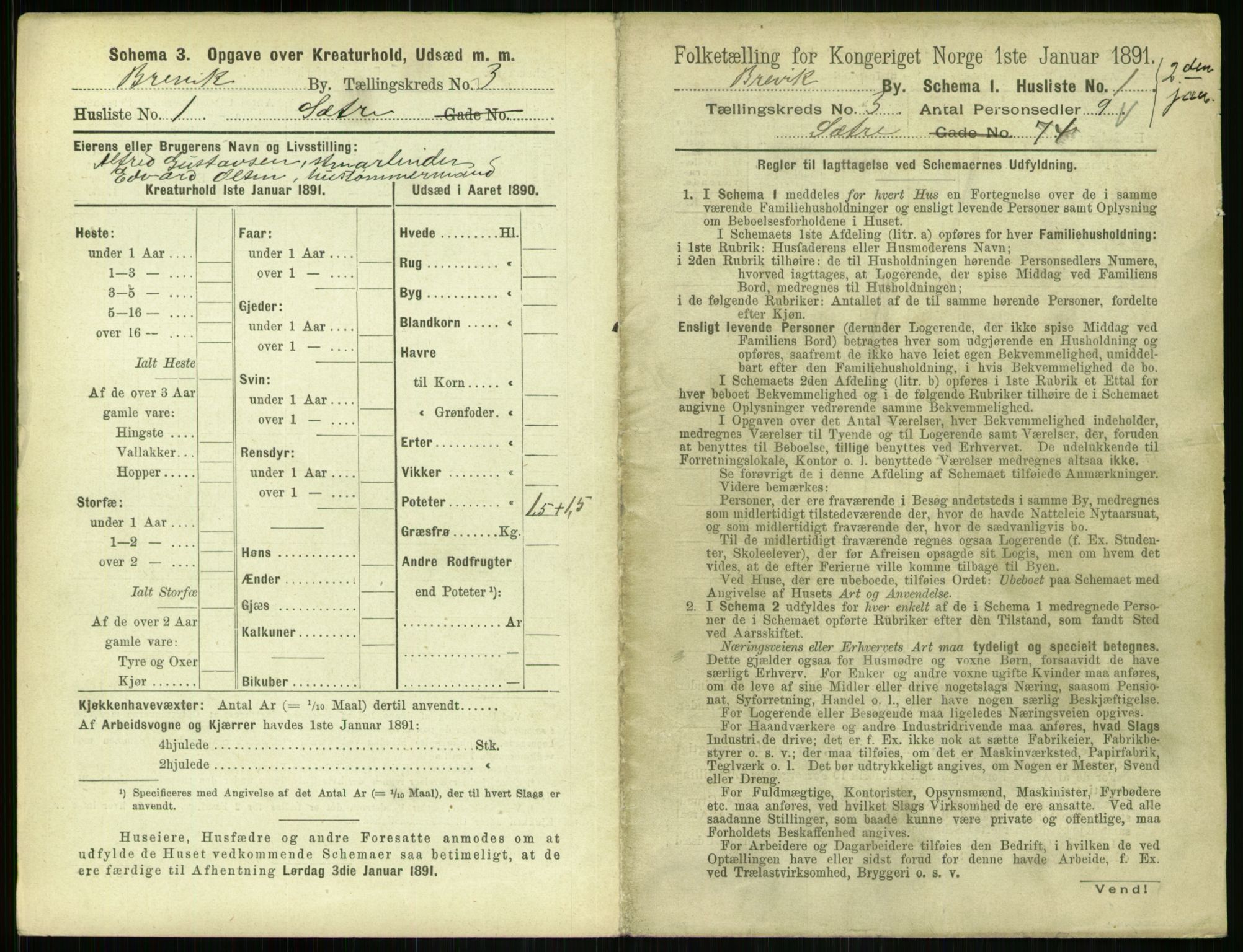 RA, 1891 census for 0804 Brevik, 1891, p. 501