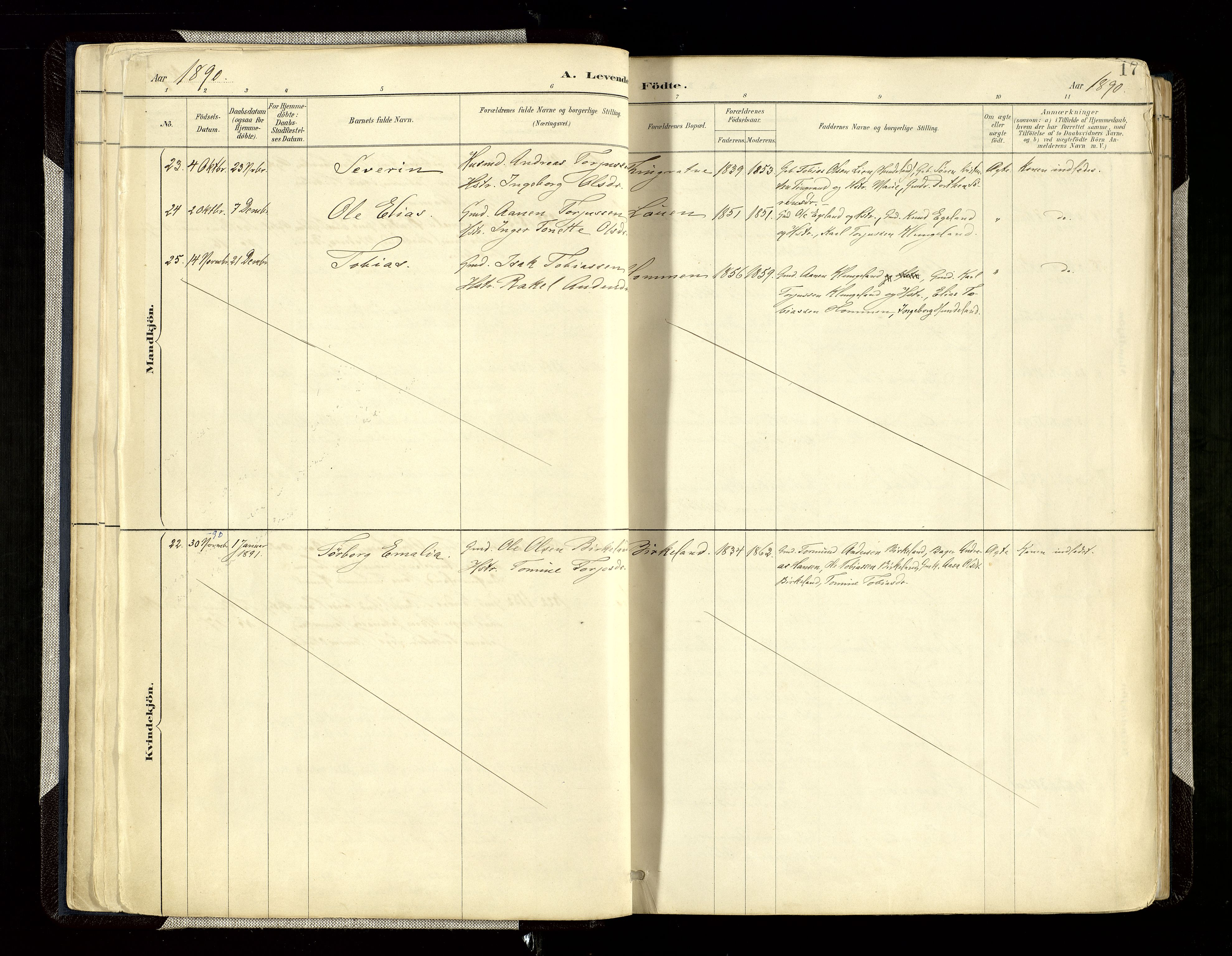 Hægebostad sokneprestkontor, AV/SAK-1111-0024/F/Fa/Faa/L0006: Parish register (official) no. A 6, 1887-1929, p. 17