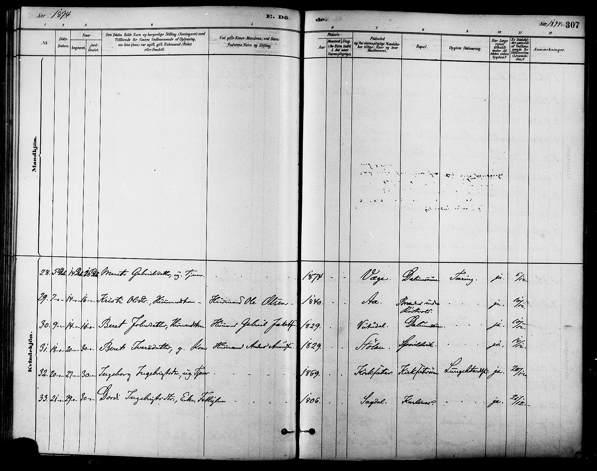 Ministerialprotokoller, klokkerbøker og fødselsregistre - Sør-Trøndelag, SAT/A-1456/630/L0496: Parish register (official) no. 630A09, 1879-1895, p. 307