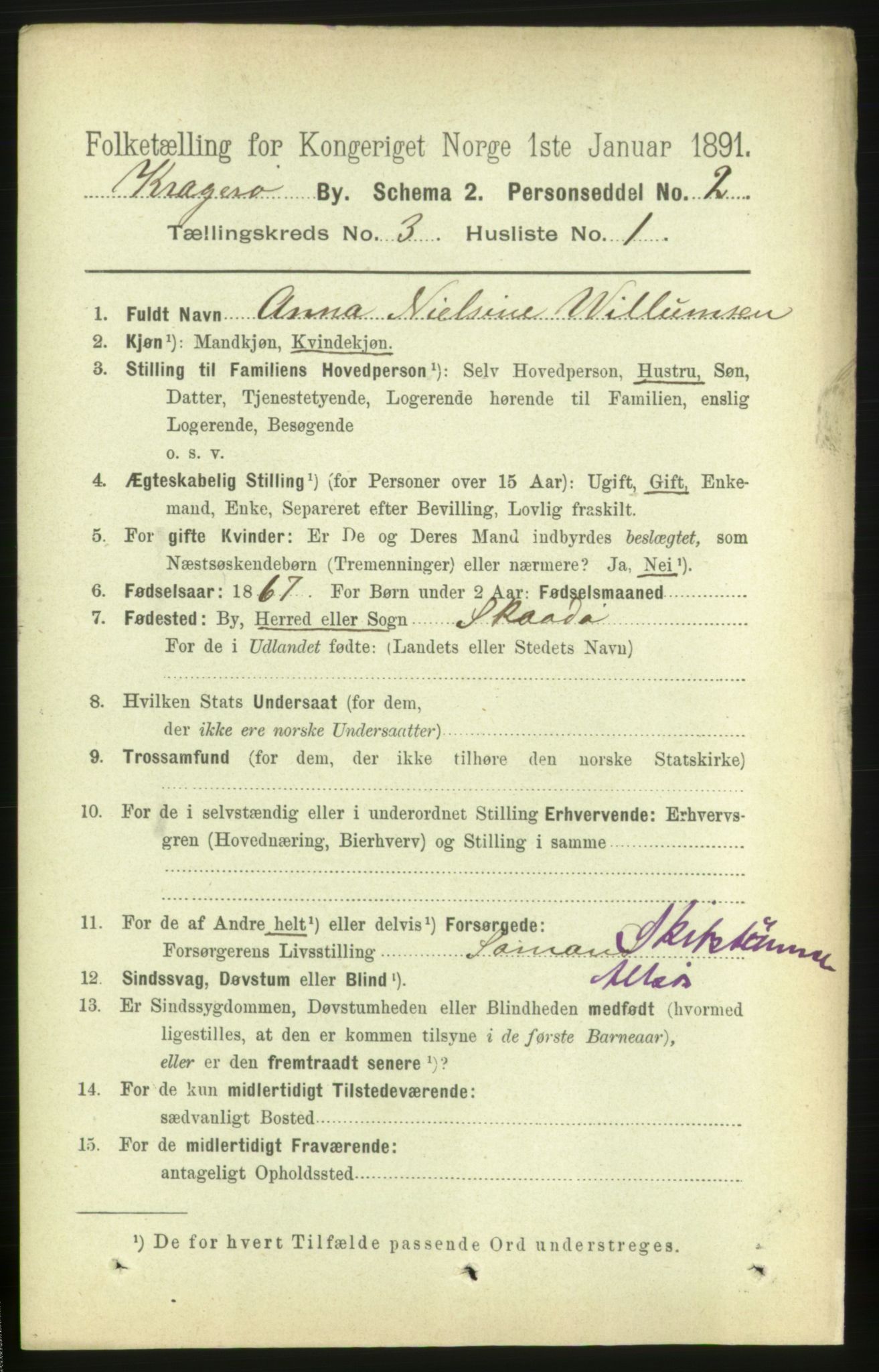 RA, 1891 census for 0801 Kragerø, 1891, p. 2663