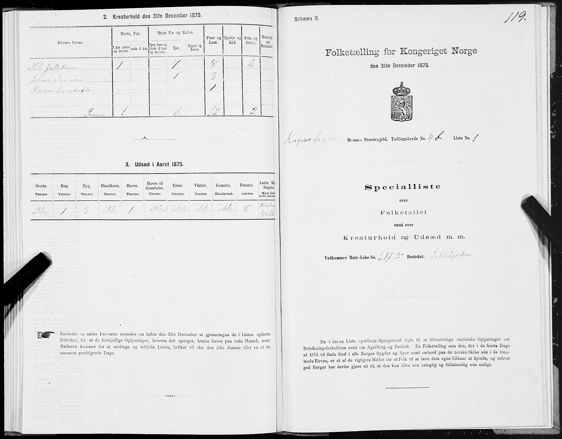 SAT, 1875 census for 1832P Hemnes, 1875, p. 3119