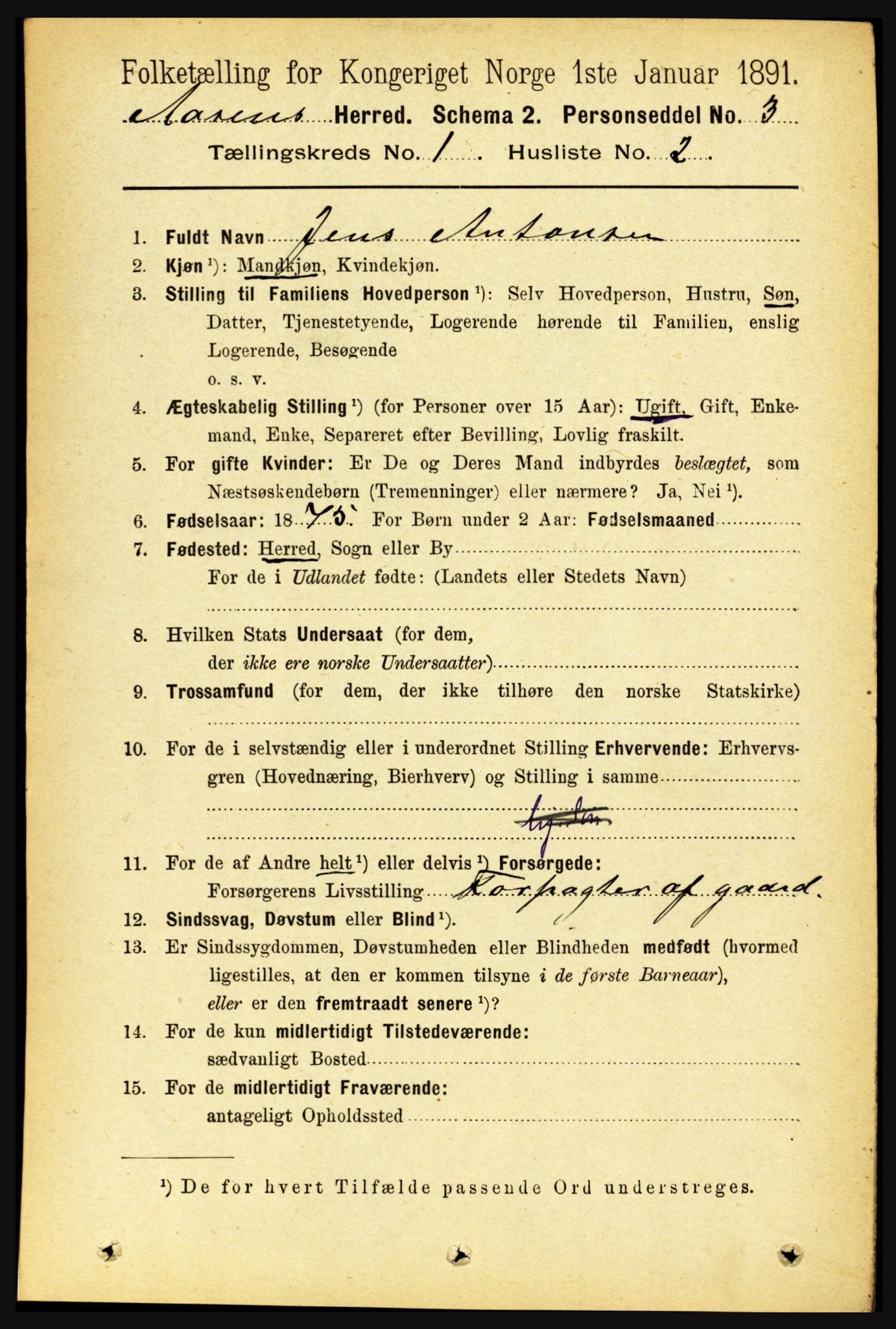 RA, 1891 census for 1716 Åsen, 1891, p. 105