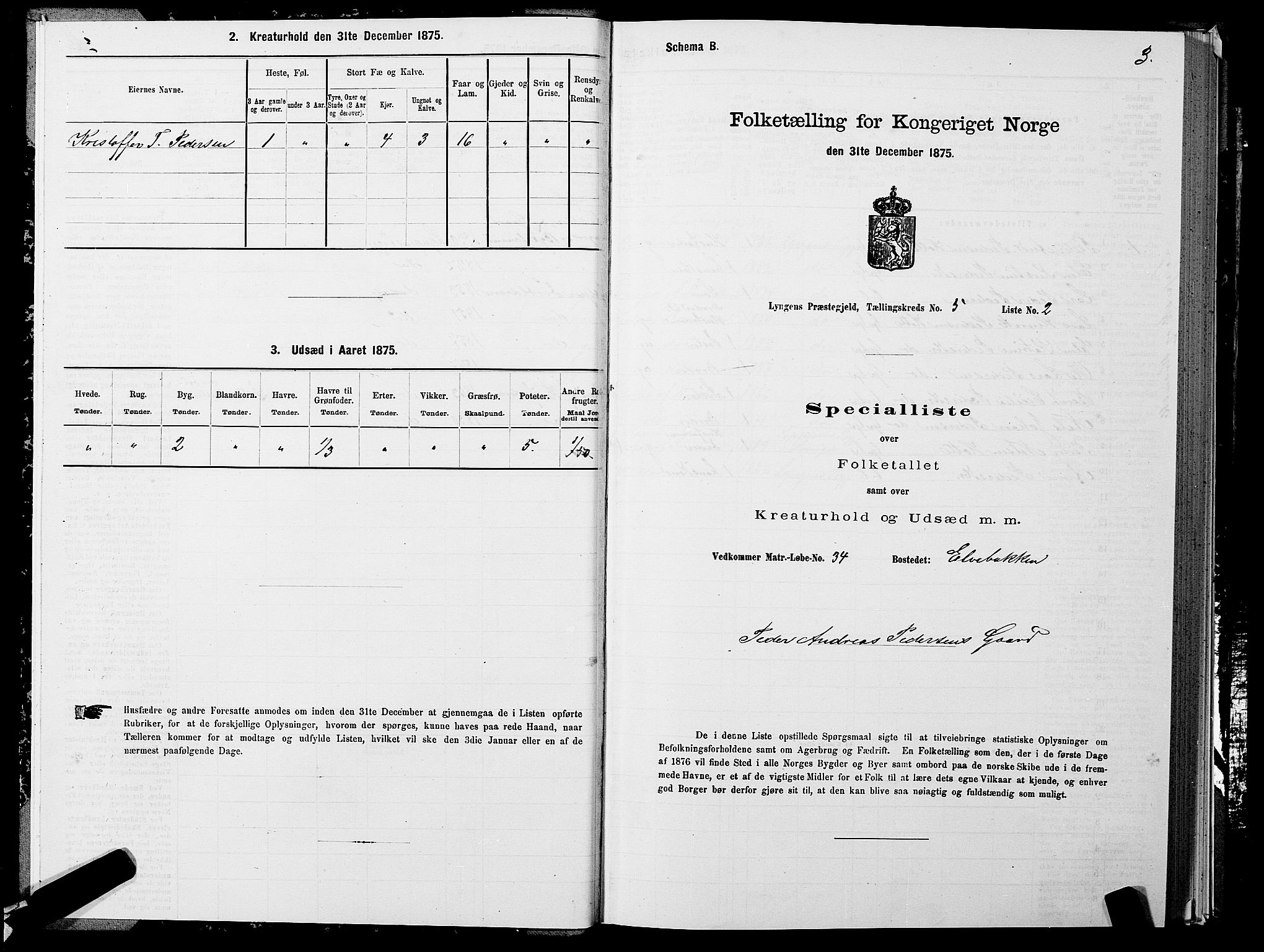 SATØ, 1875 census for 1938P Lyngen, 1875, p. 5003