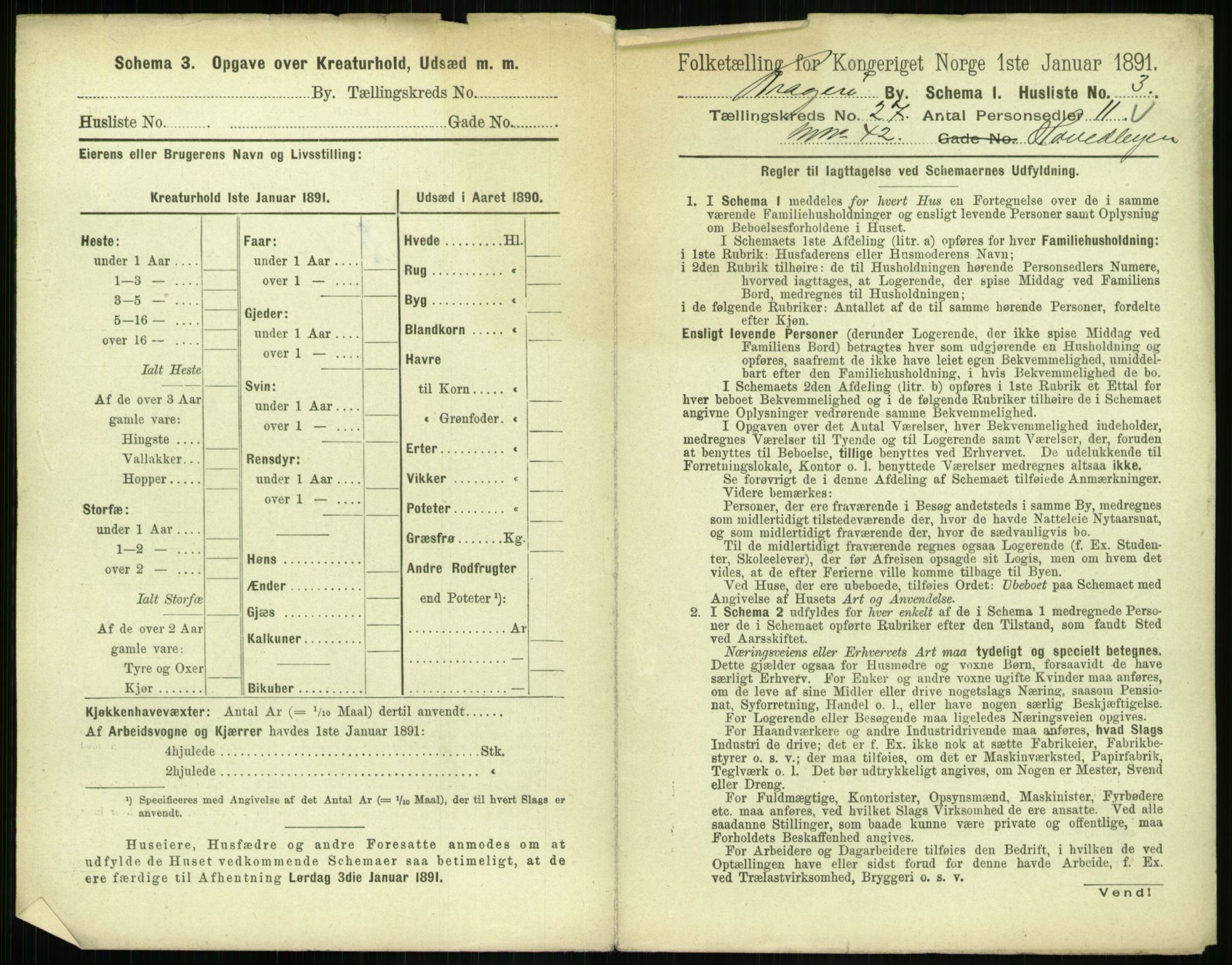 RA, 1891 census for 0801 Kragerø, 1891, p. 990