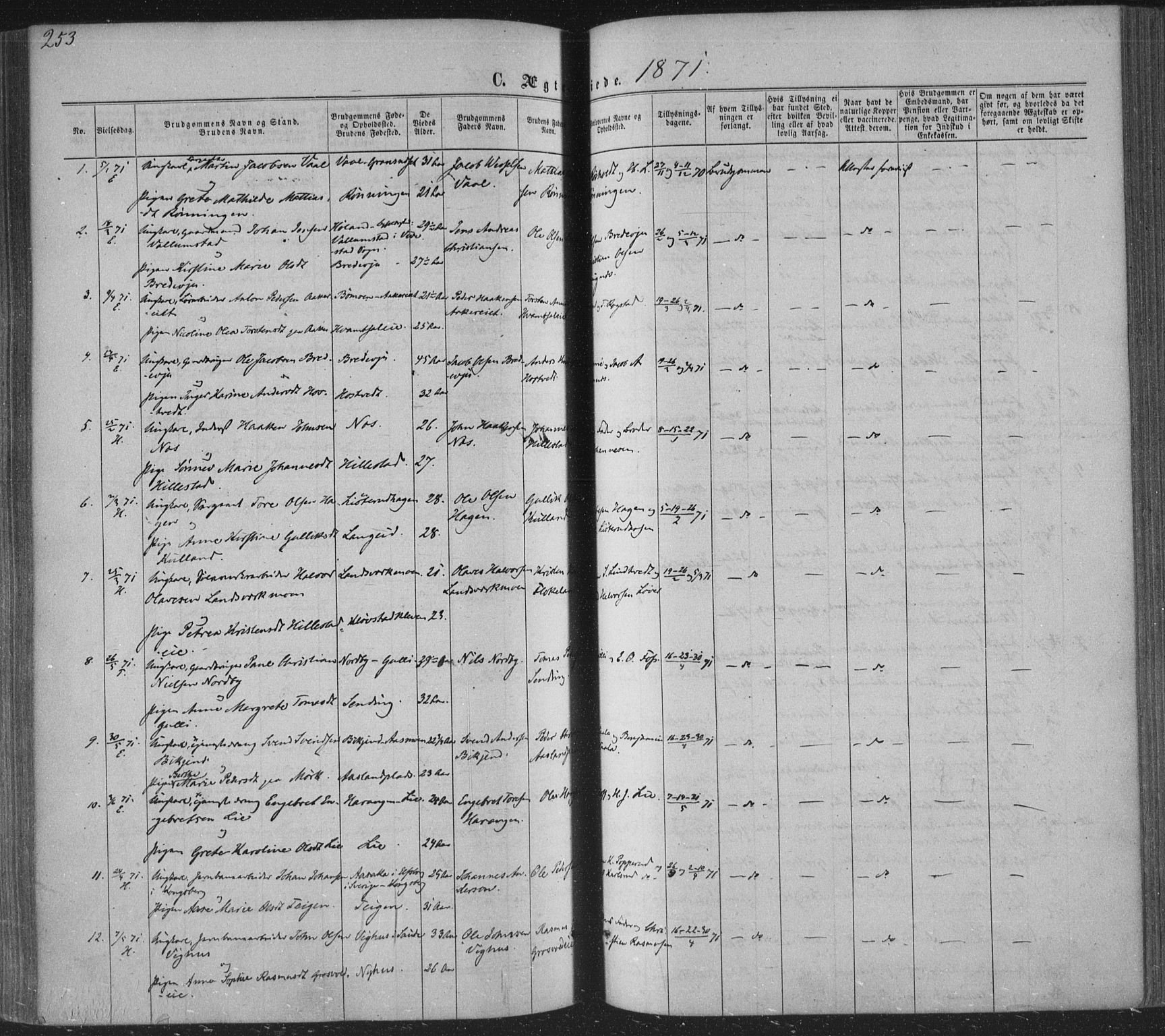 Sandsvær kirkebøker, AV/SAKO-A-244/F/Fa/L0007: Parish register (official) no. I 7, 1869-1877, p. 253