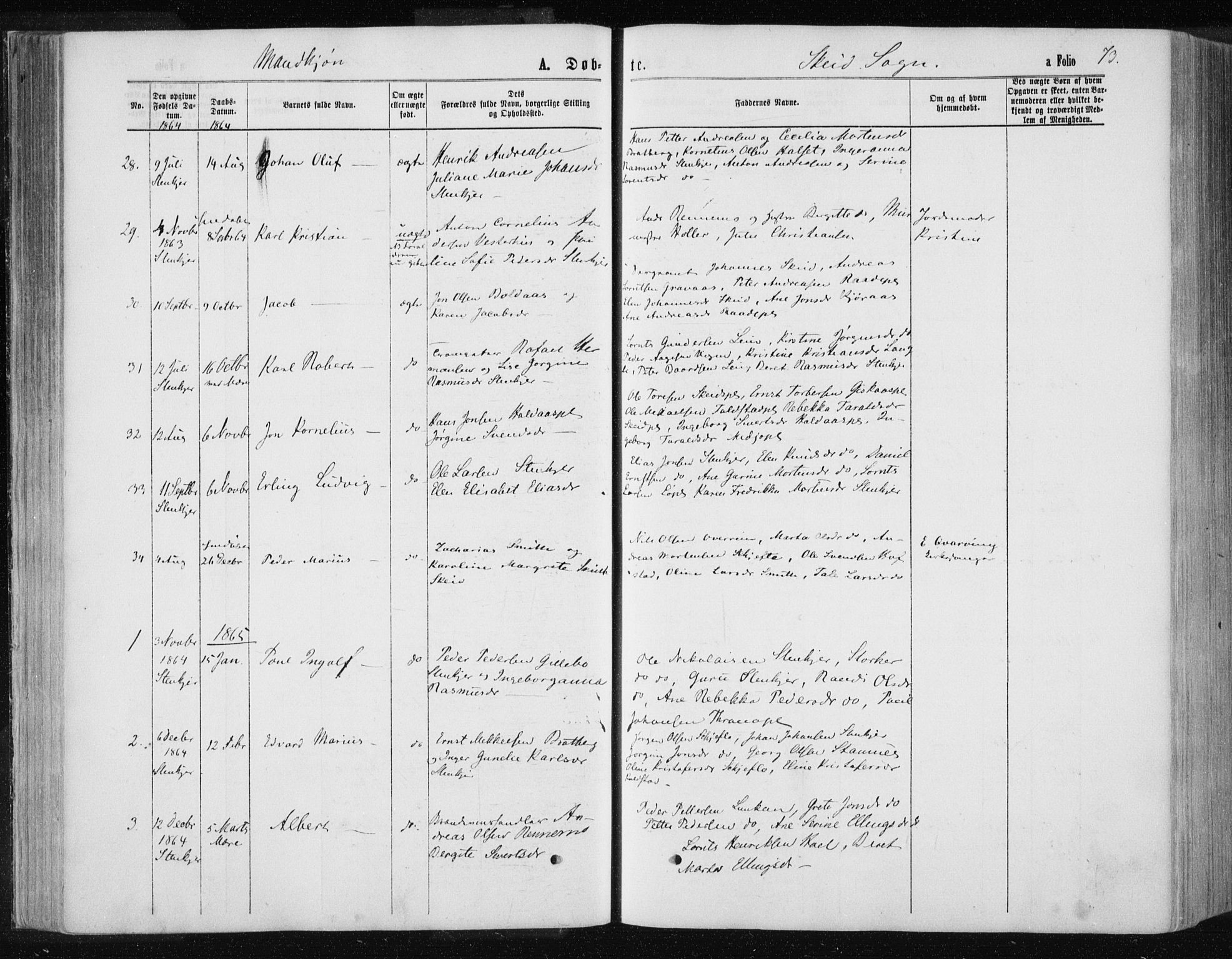 Ministerialprotokoller, klokkerbøker og fødselsregistre - Nord-Trøndelag, AV/SAT-A-1458/735/L0345: Parish register (official) no. 735A08 /2, 1863-1872, p. 73