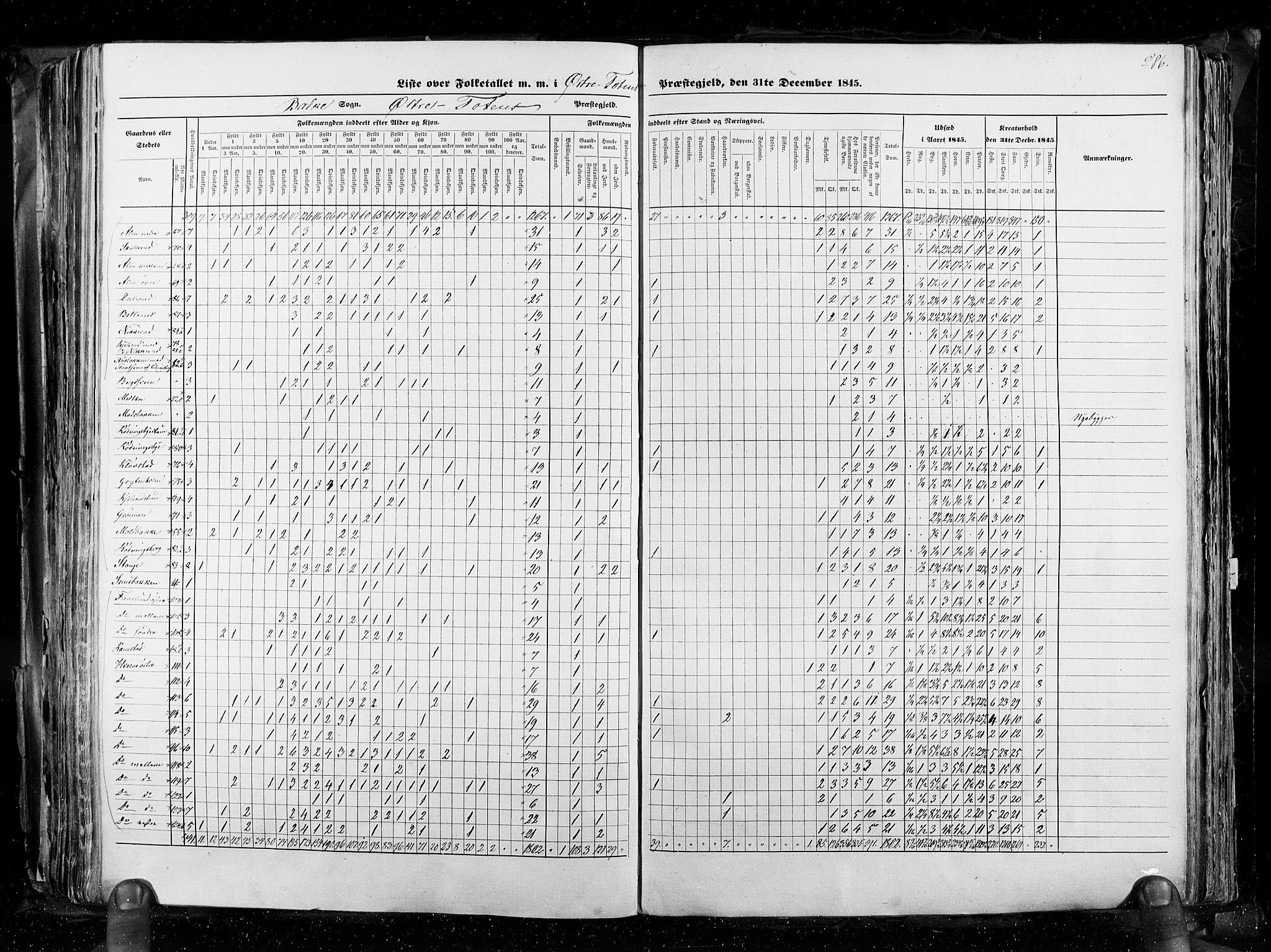 RA, Census 1845, vol. 3: Hedemarken amt og Kristians amt, 1845, p. 286