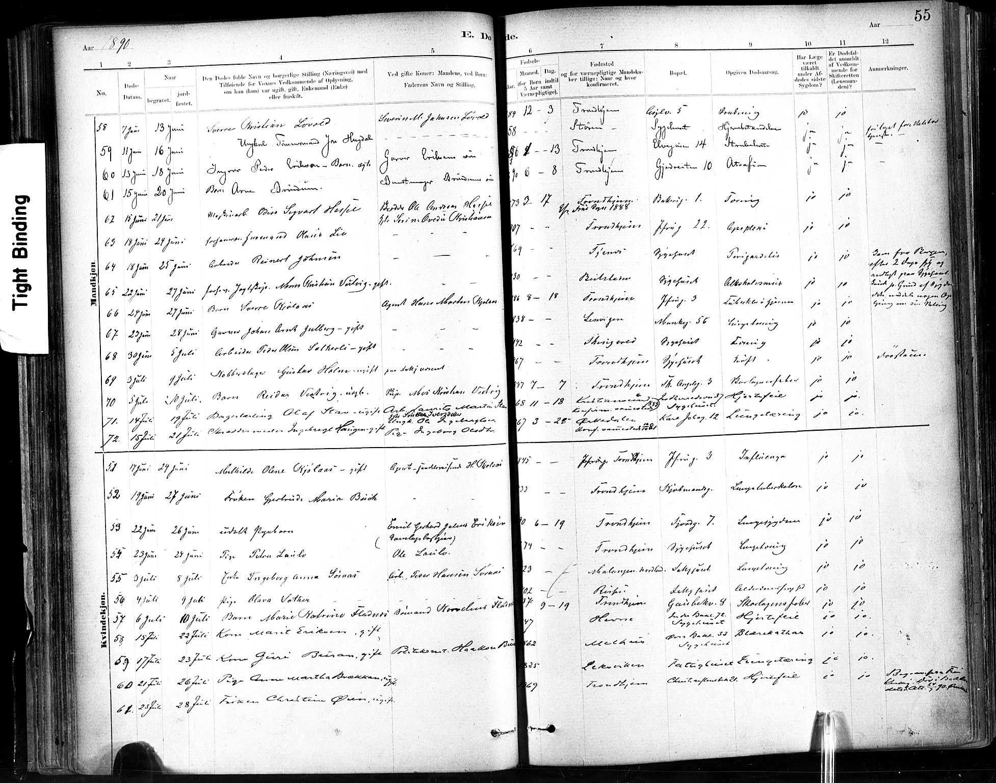 Ministerialprotokoller, klokkerbøker og fødselsregistre - Sør-Trøndelag, SAT/A-1456/602/L0120: Parish register (official) no. 602A18, 1880-1913, p. 55