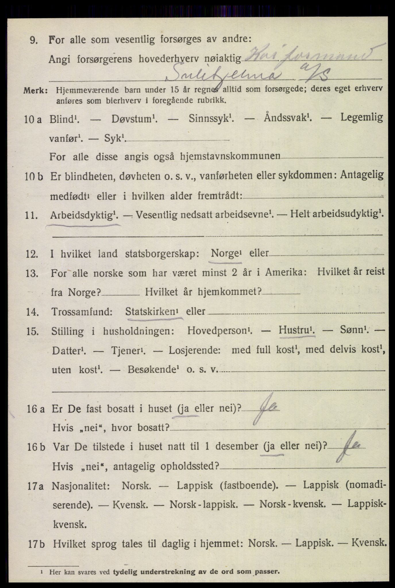 SAT, 1920 census for Fauske, 1920, p. 10111