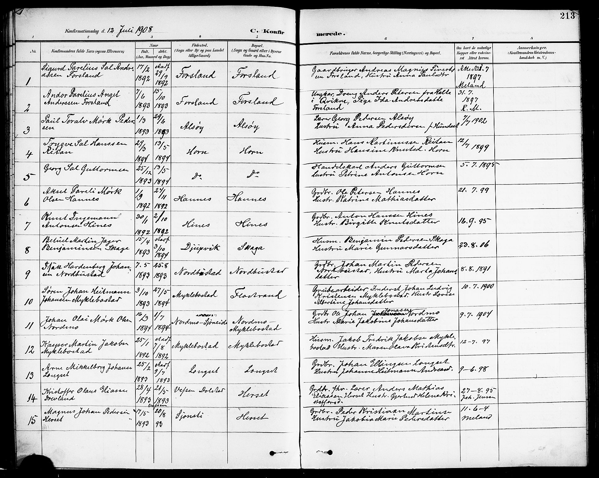 Ministerialprotokoller, klokkerbøker og fødselsregistre - Nordland, AV/SAT-A-1459/838/L0559: Parish register (copy) no. 838C06, 1893-1910, p. 213