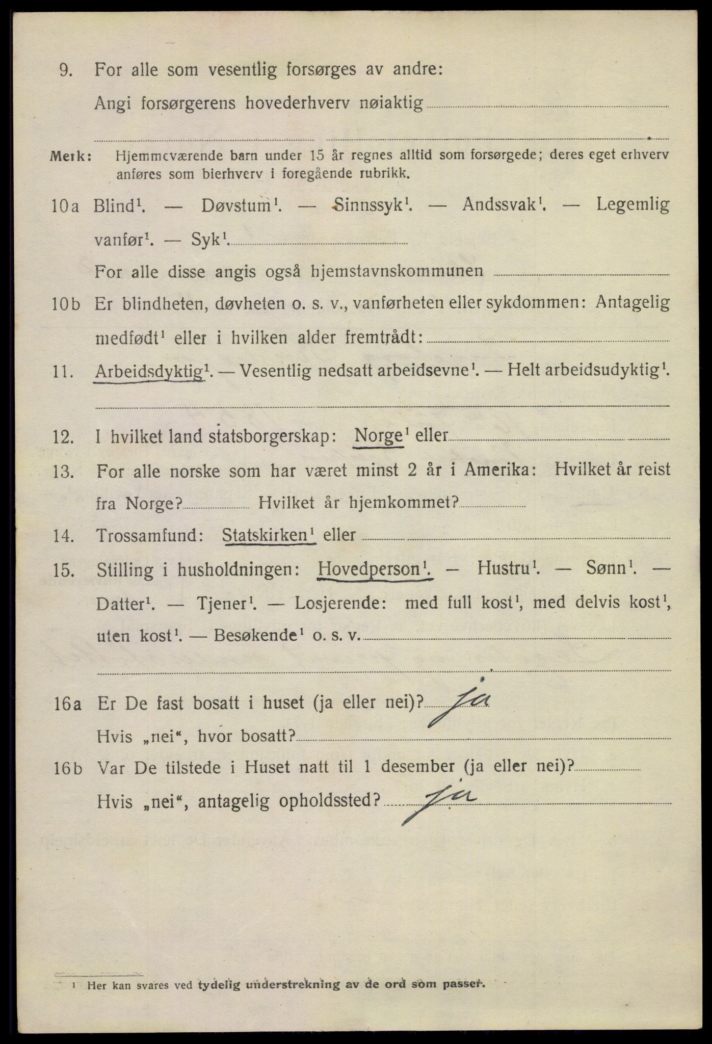 SAKO, 1920 census for Skien, 1920, p. 13537