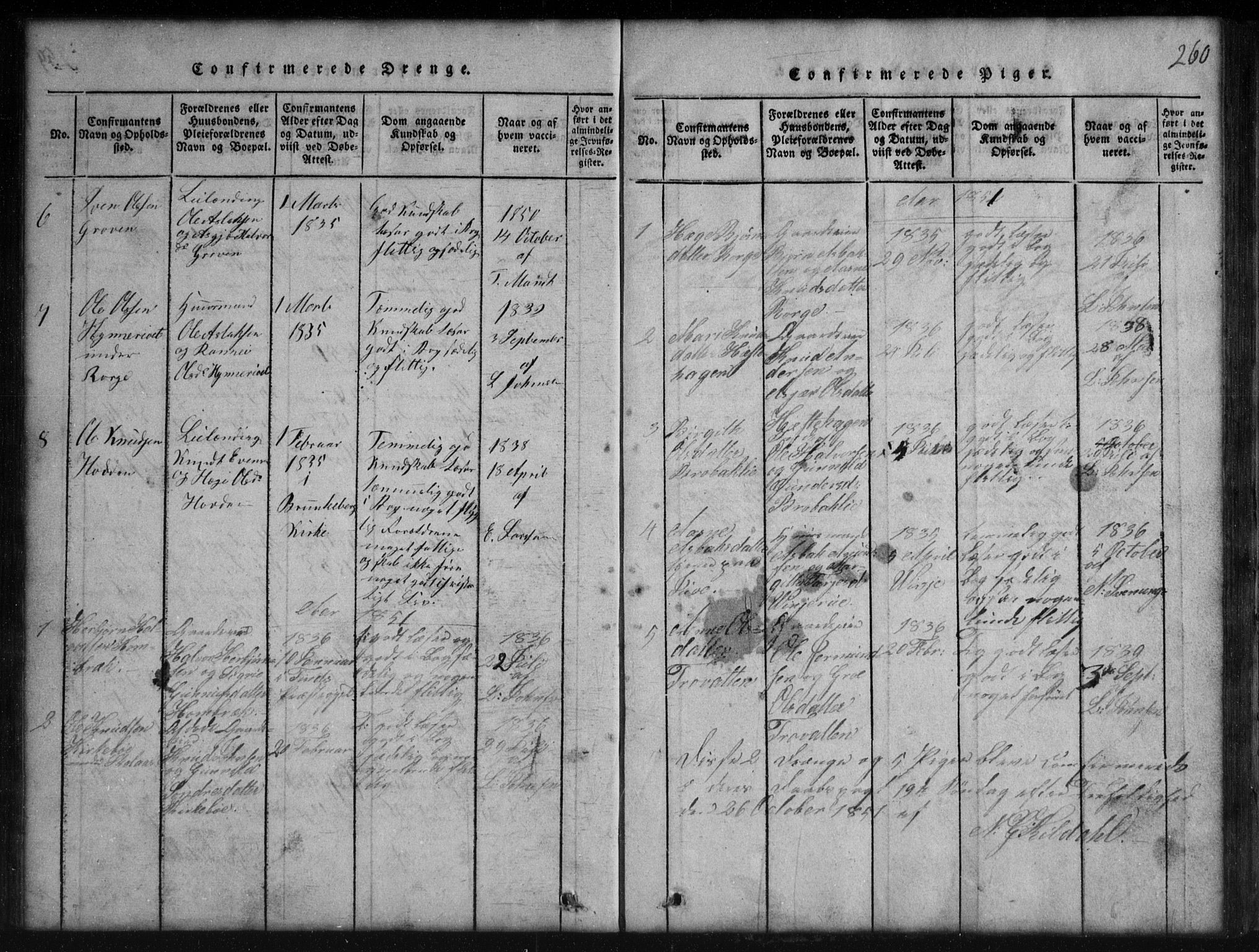 Rauland kirkebøker, SAKO/A-292/G/Gb/L0001: Parish register (copy) no. II 1, 1815-1886, p. 260